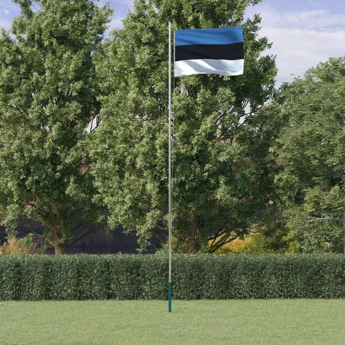 vidaXL Flagge Flagge Estlands mit Mast 6 23 m Aluminium