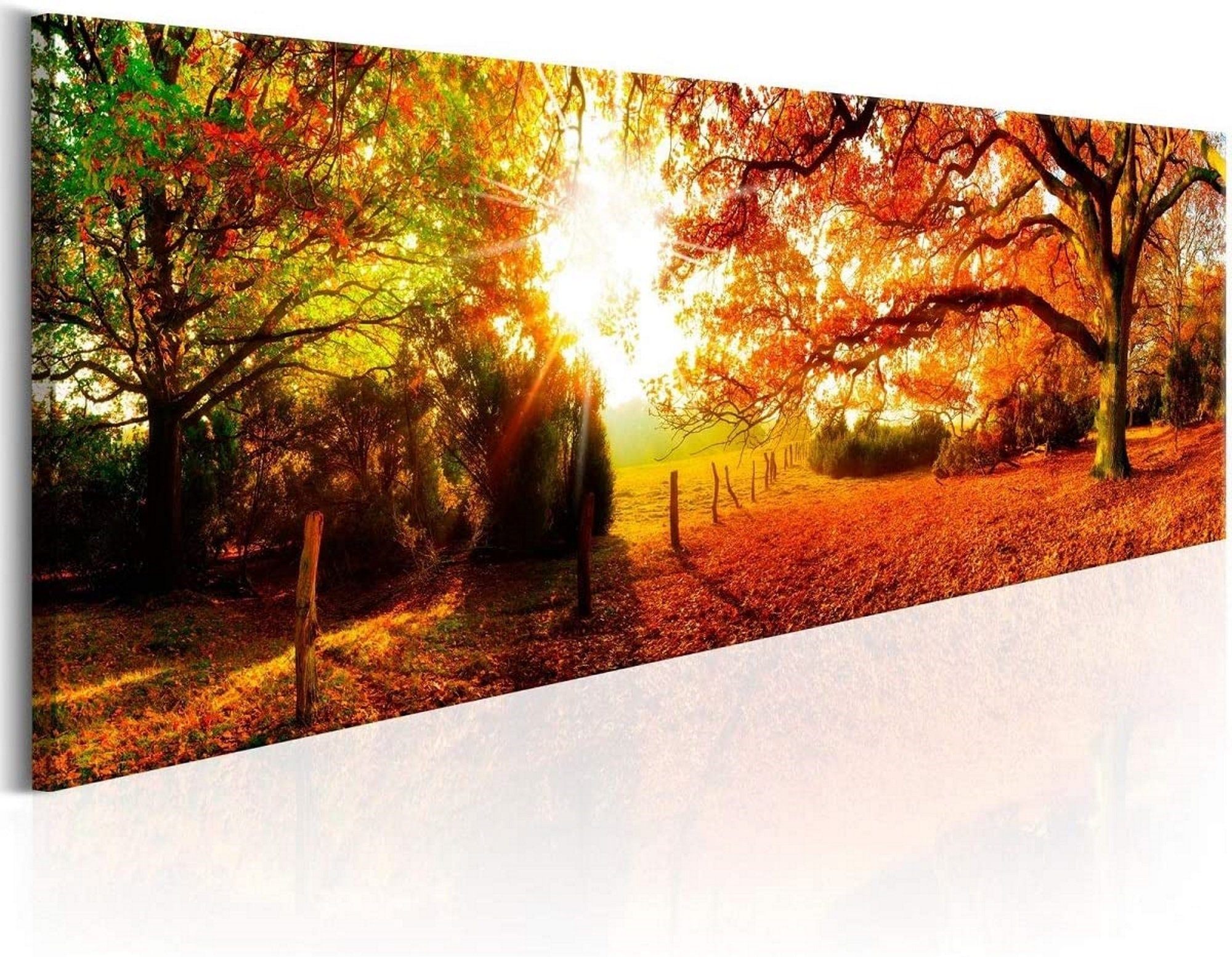 Visario Leinwandbild 1-teiliges Bild auf Leinwand günstig online kaufen