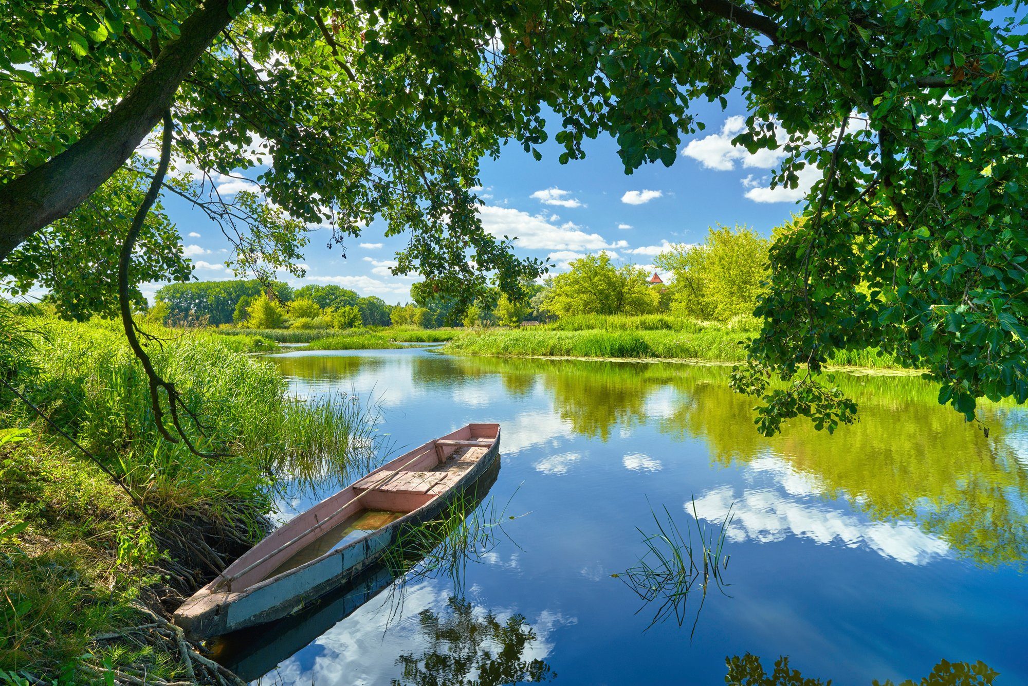 BÄUME Fototapete STRAND BOOT UFER FRÜHLINGS-LANDSCHAFT-FLUSS WALD Papermoon