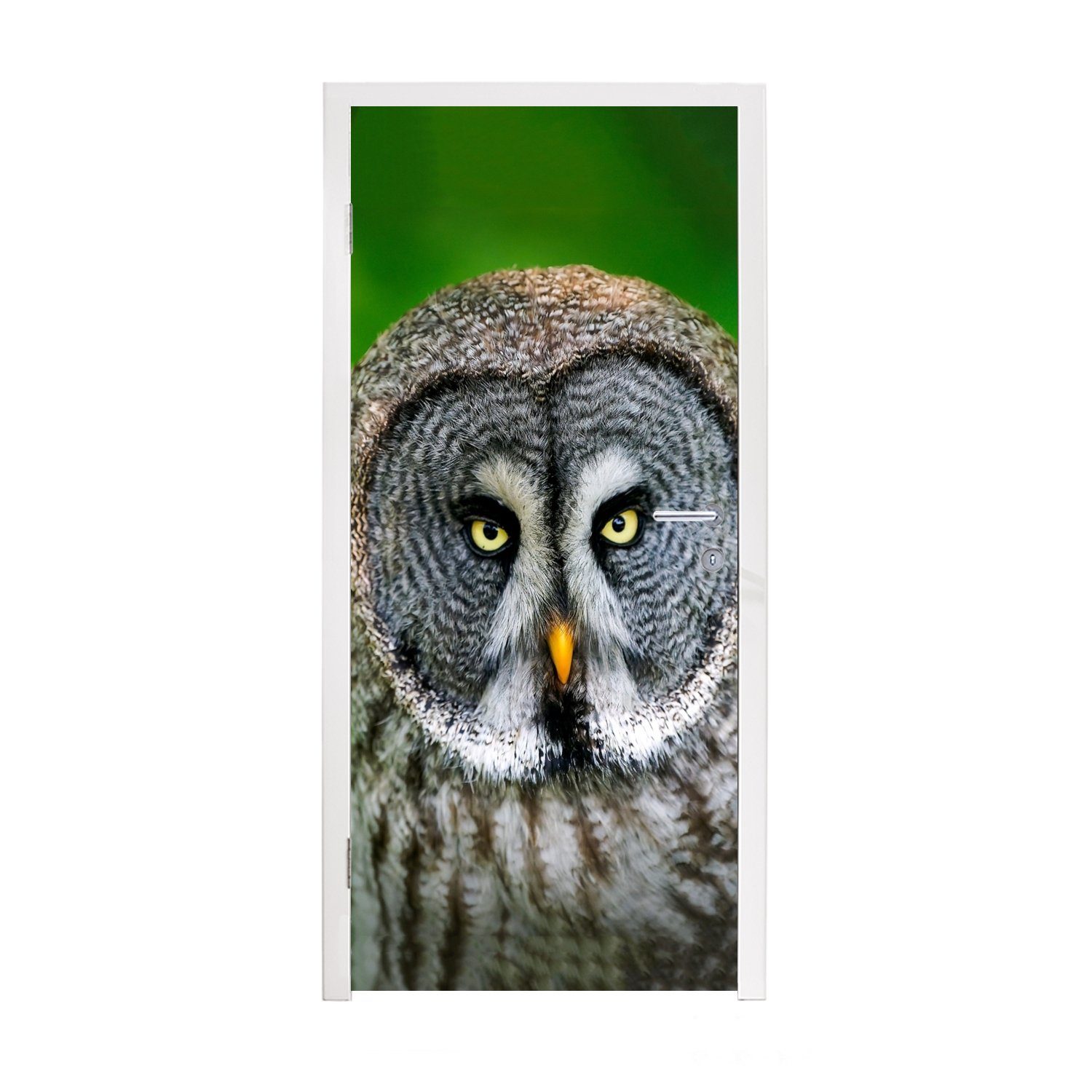Türtapete - (1 Vogel Tiere Eule cm Türaufkleber, - Braun MuchoWow - Tür, bedruckt, St), Matt, 75x205 - Porträt, Fototapete für