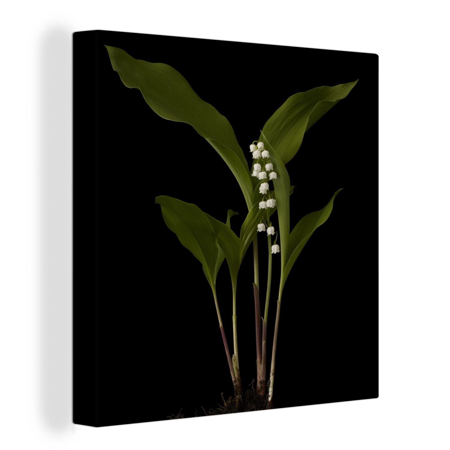 OneMillionCanvasses® Leinwandbild Maiglöckchen mit Blättern auf schwarzem Hintergrund, (1 St), Leinwand Bilder für Wohnzimmer Schlafzimmer bunt