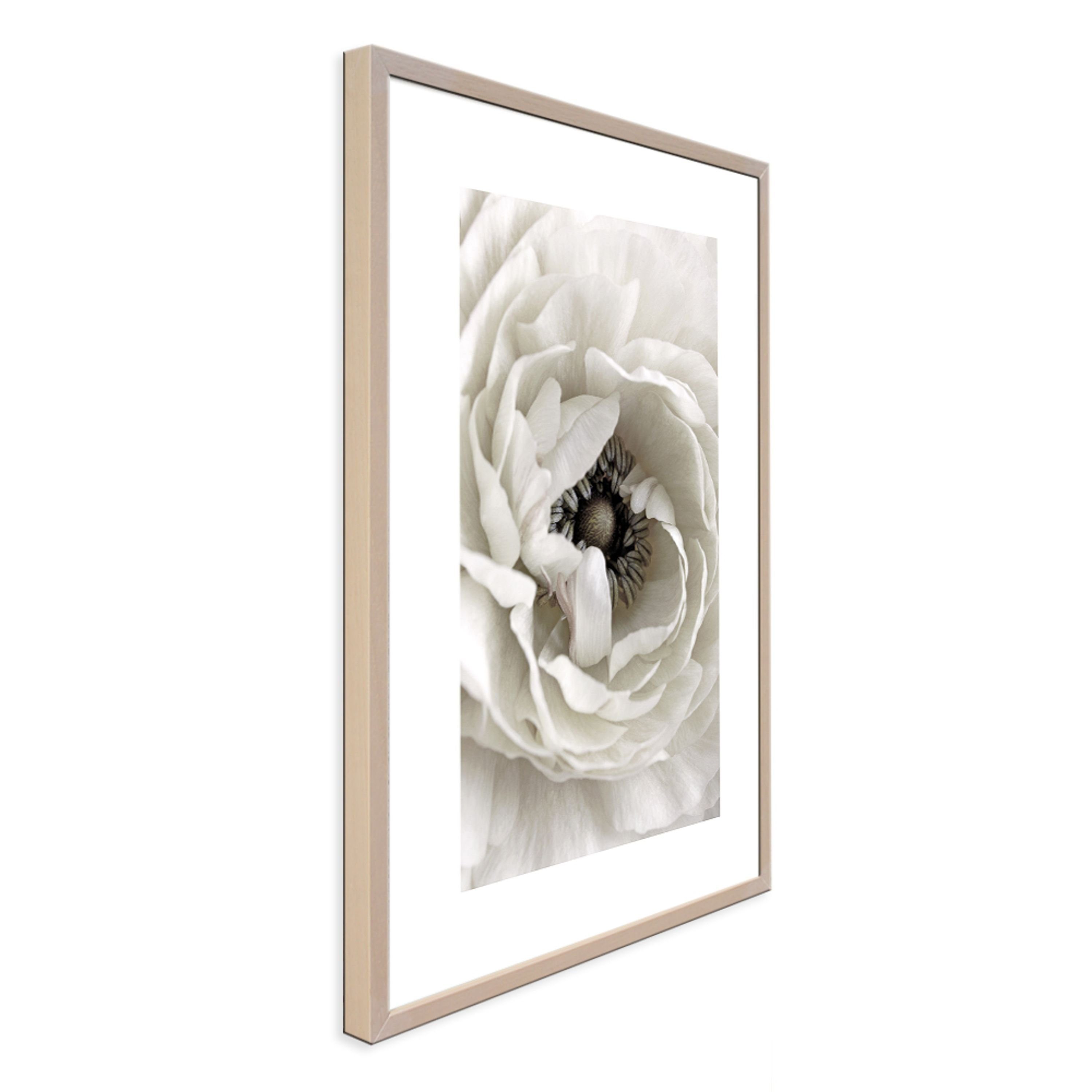 artissimo Bild weiße mit Design-Poster Holz-Rahmen gerahmt weiße Rahmen mit Close-Up / Blume, 51x71cm / Bild Blüte