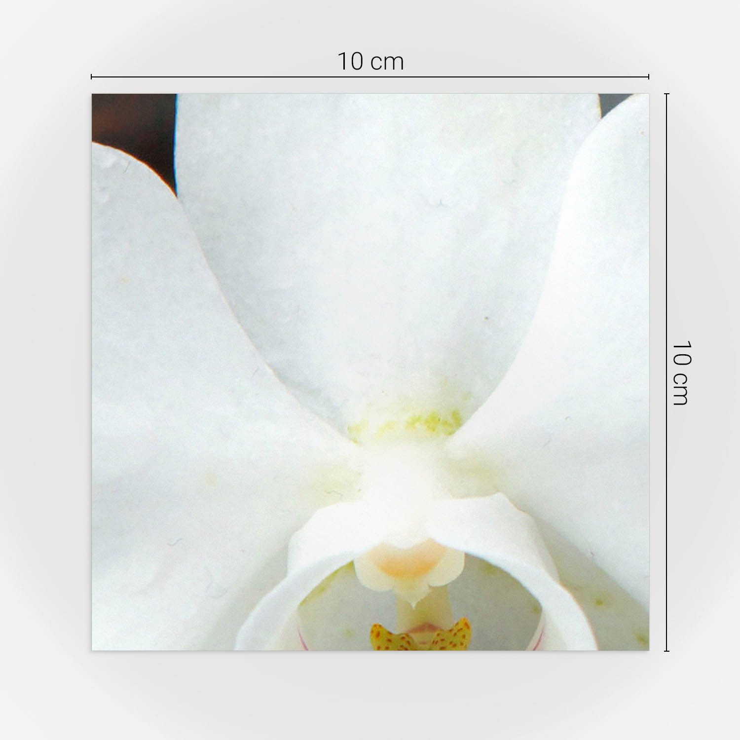Tulup Fliesenaufkleber Fliesensticker Blume auf Wassersteinen Fliesen Aufkleber – Bild 4 von 5