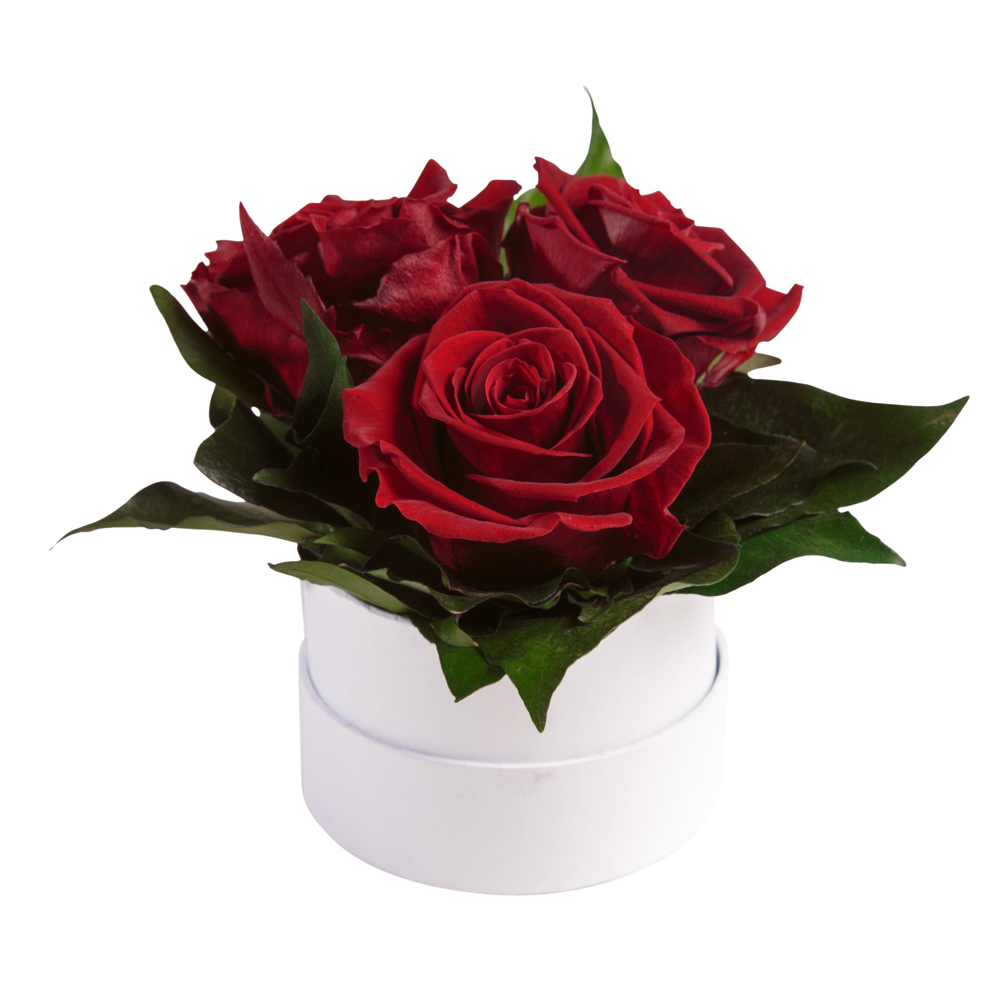weiß Kunstblume Rose, rund 10 ROSEMARIE Rosenbox Rosen Sie Geschenk konserviert Rosen für SCHULZ Höhe 3 echte cm, Heidelberg, Dunkelrot Infinity