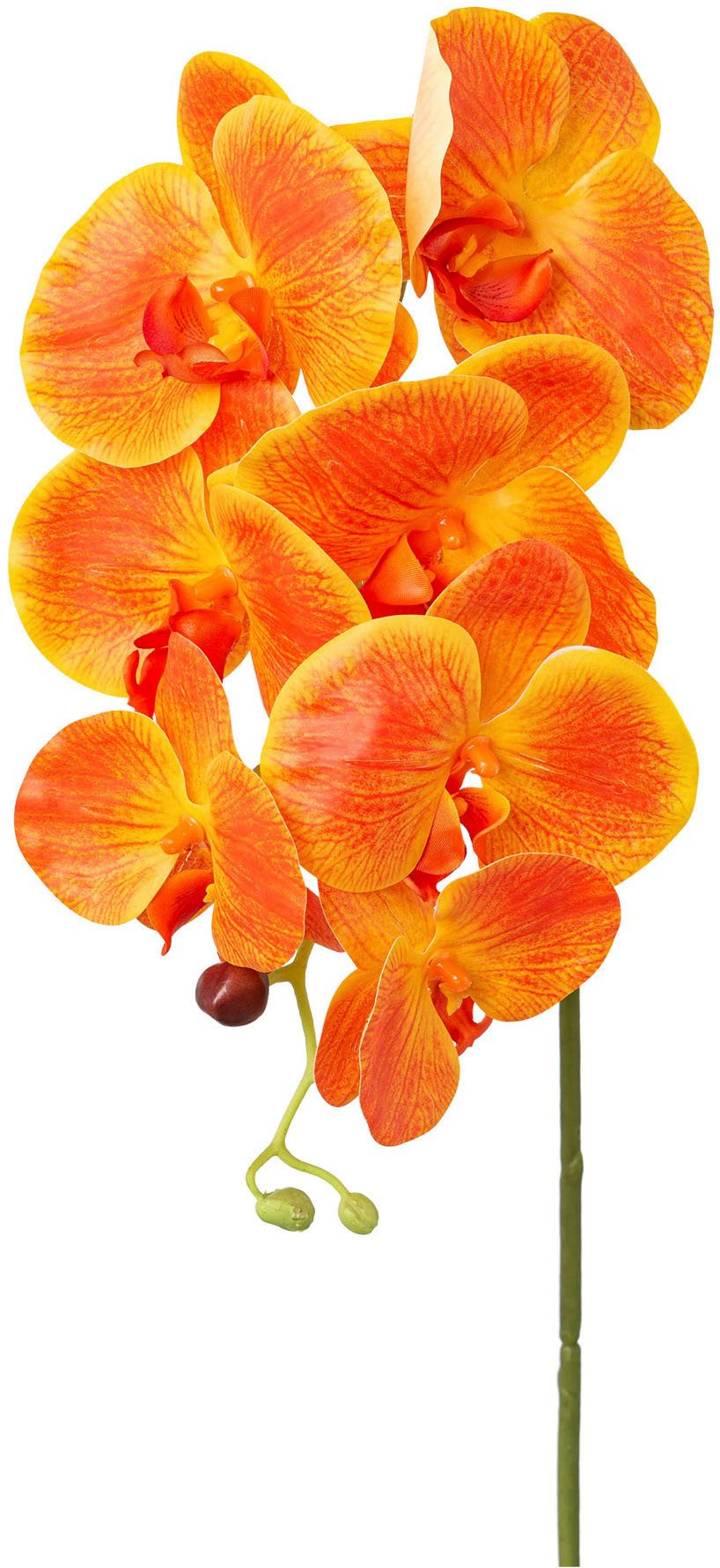 Kunstorchidee Orchidee Phalaenopsis