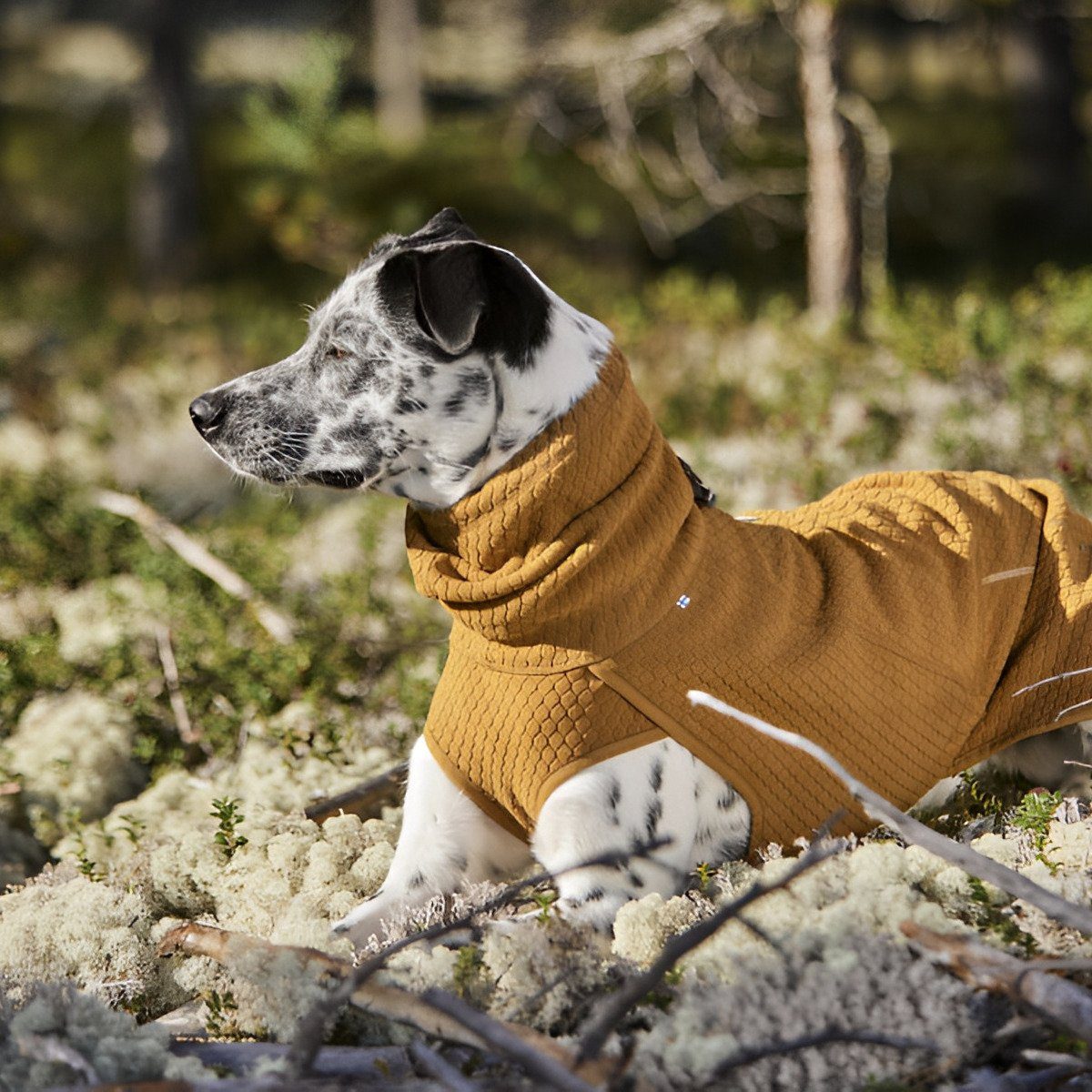 HURTTA Hundemantel Hundejacke Warming Midlayer desert (beige)