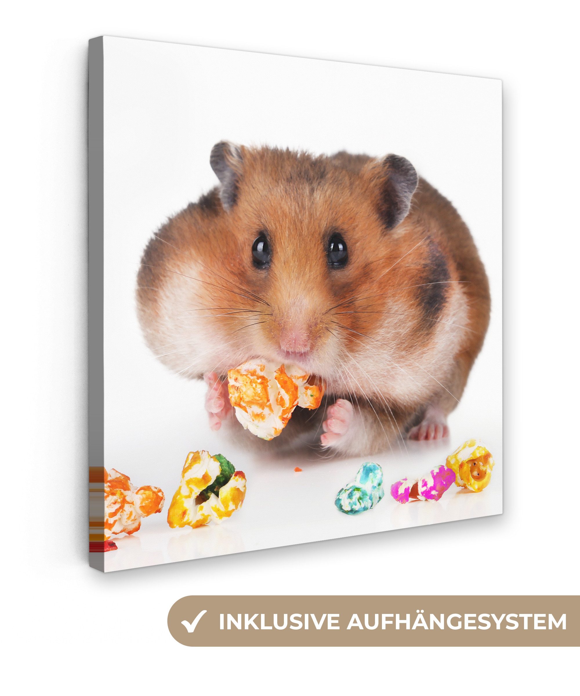 OneMillionCanvasses® Leinwandbild Hamster frisst buntes Futter, Fotodruck (1 St), Wandbild, Deko Schlafzimmer Wohnzimmer Flur 20x20 cm