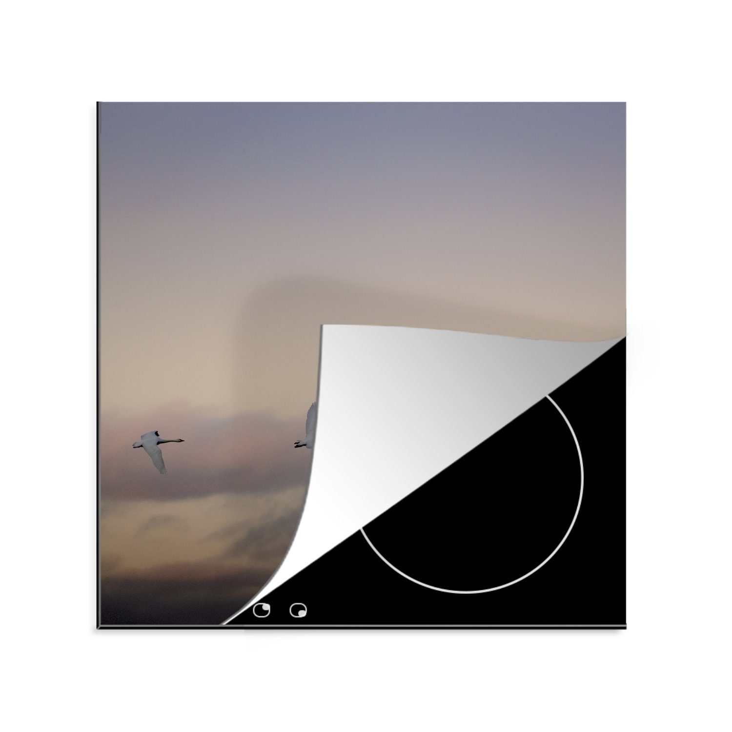 MuchoWow Herdblende-/Abdeckplatte Schwan - Fliegen - Wolken, Vinyl, (1 tlg), 78x78 cm, Ceranfeldabdeckung, Arbeitsplatte für küche