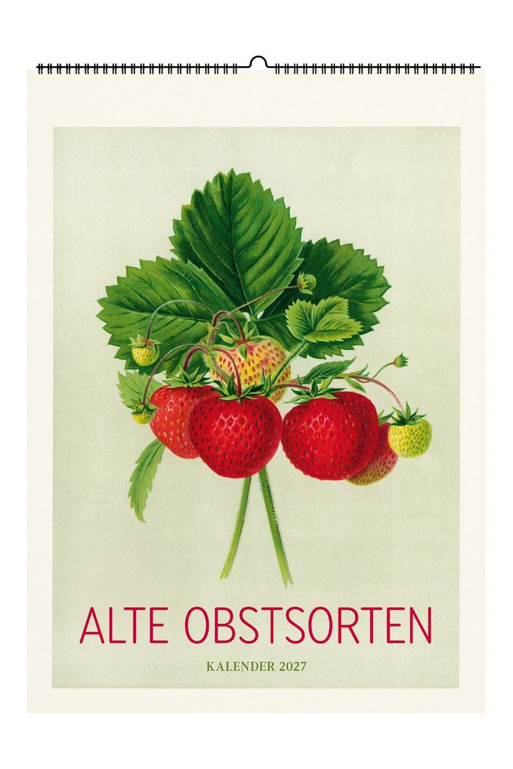 Wandkalender Alte Obstsorten. Wandkalender 2027