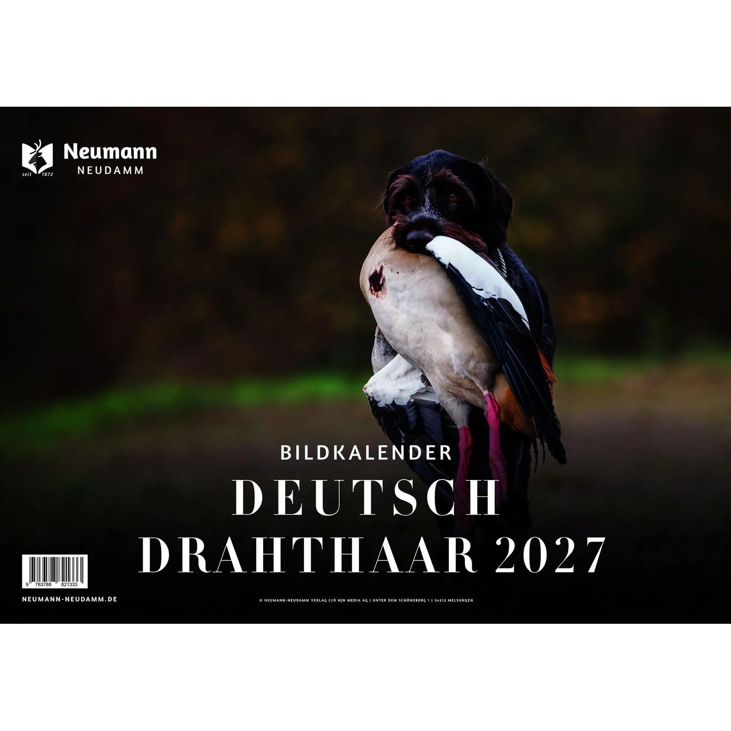 NEUMANN Wandkalender Deutsch Drahthaar 2027 - Themenkalender