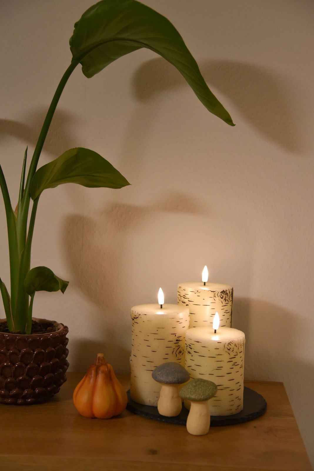 Gravidus LED-Kerze 3er-Set LED-Wachskerzen Birkenholzoptik mit Timer und Fl günstig online kaufen