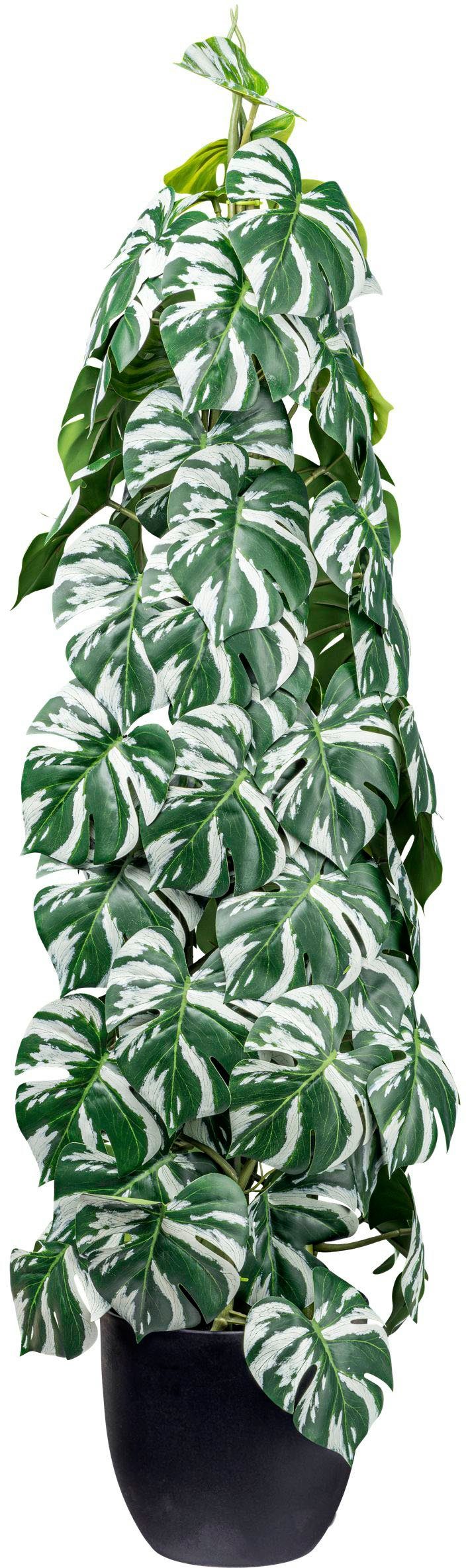 Künstliche Zimmerpflanze Splitphilodendron Grünpflanze, Creativ green, günstig online kaufen