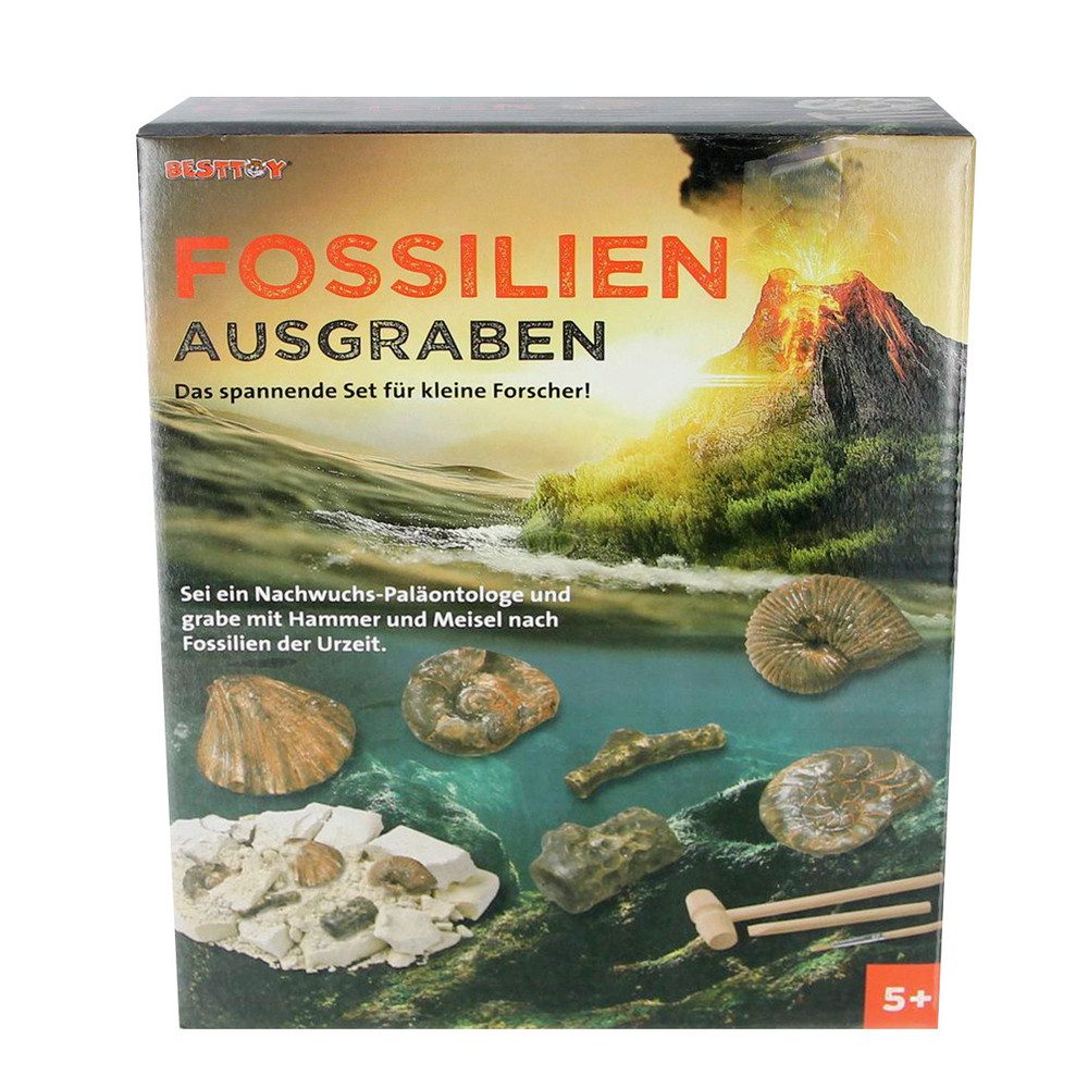 Experimentierkasten Fossilien ausgraben