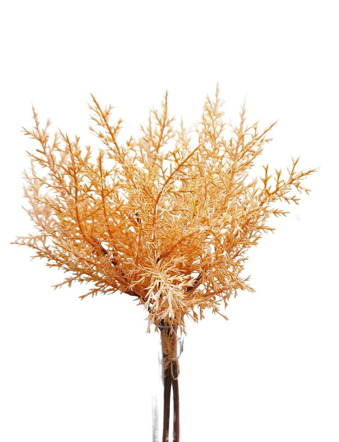 Kunstblumenstrauß Deko Asparagus sprengeri Bund RUBIOLTA, Aprikose, 35cm Spargelpflanze (Sprengers Zierspargel), artplants, Höhe 35.0 cm