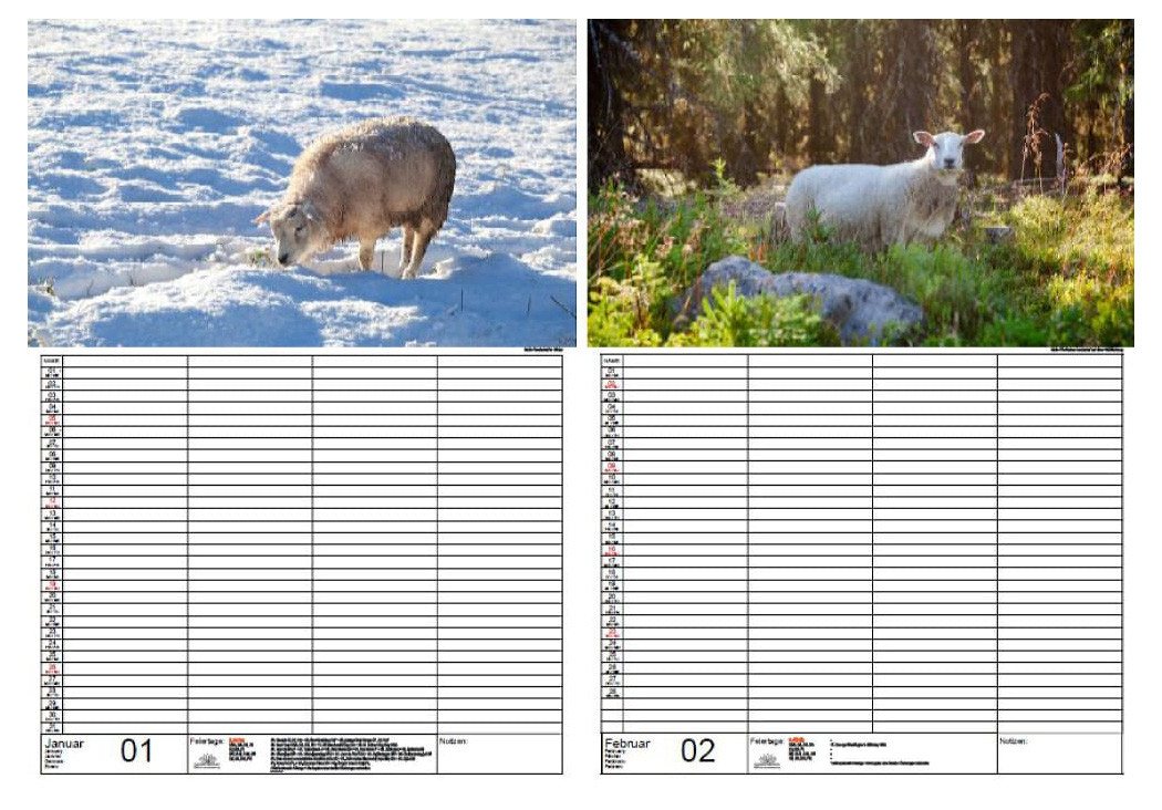 Thumbnail - Seelenzauber Familienkalender Schafszauber Familien Planer Kalender für 2025 DIN A3 Schafe Lämmchen
