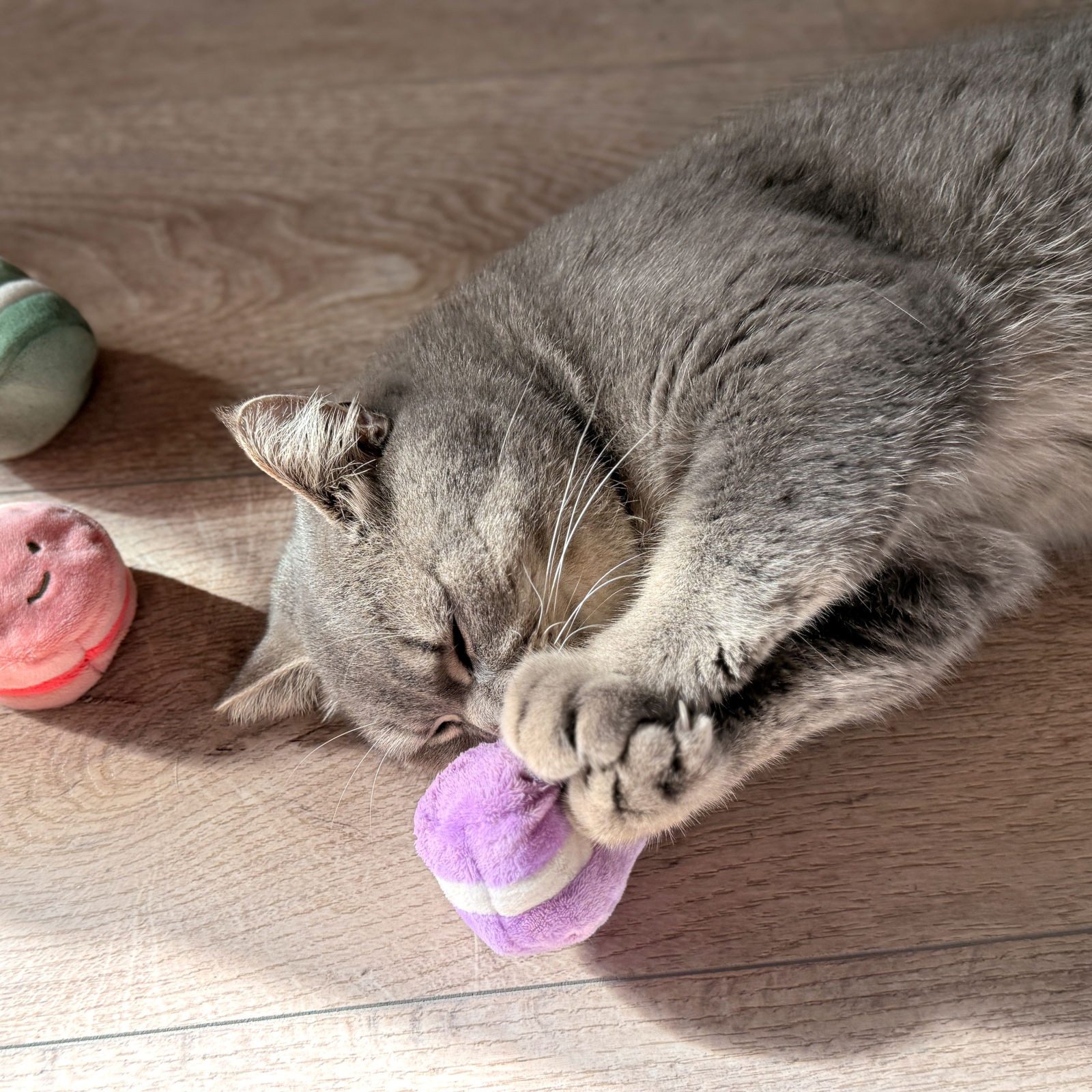 Aumüller Tierkuscheltier Katzenspielzeug Macarons, 3er Set, mit Katzenminze und Silver Vine, 100% Polyester (Schmuseplüsch)