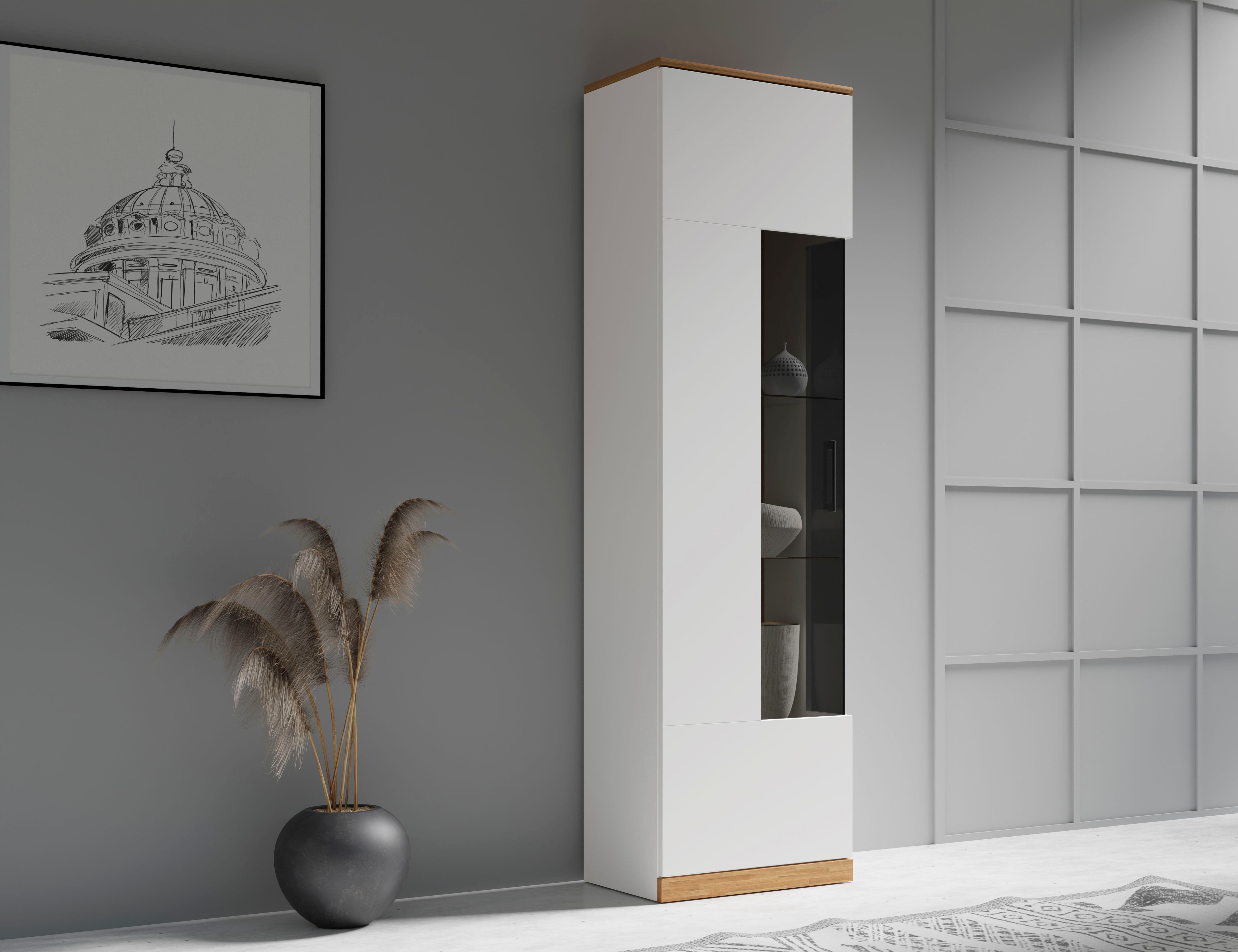 Home affaire Vitrine Ribe,180cm hoch,5 Fächer,2 günstig online kaufen