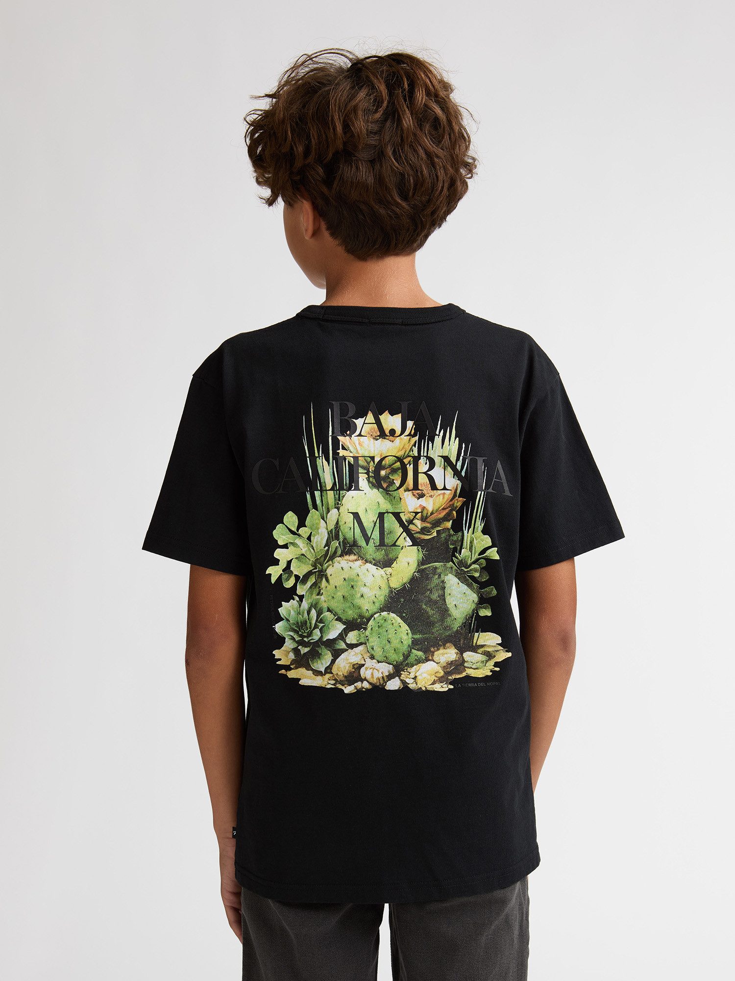Petrol Industries T-Shirt Corrido mit Rückenprint
