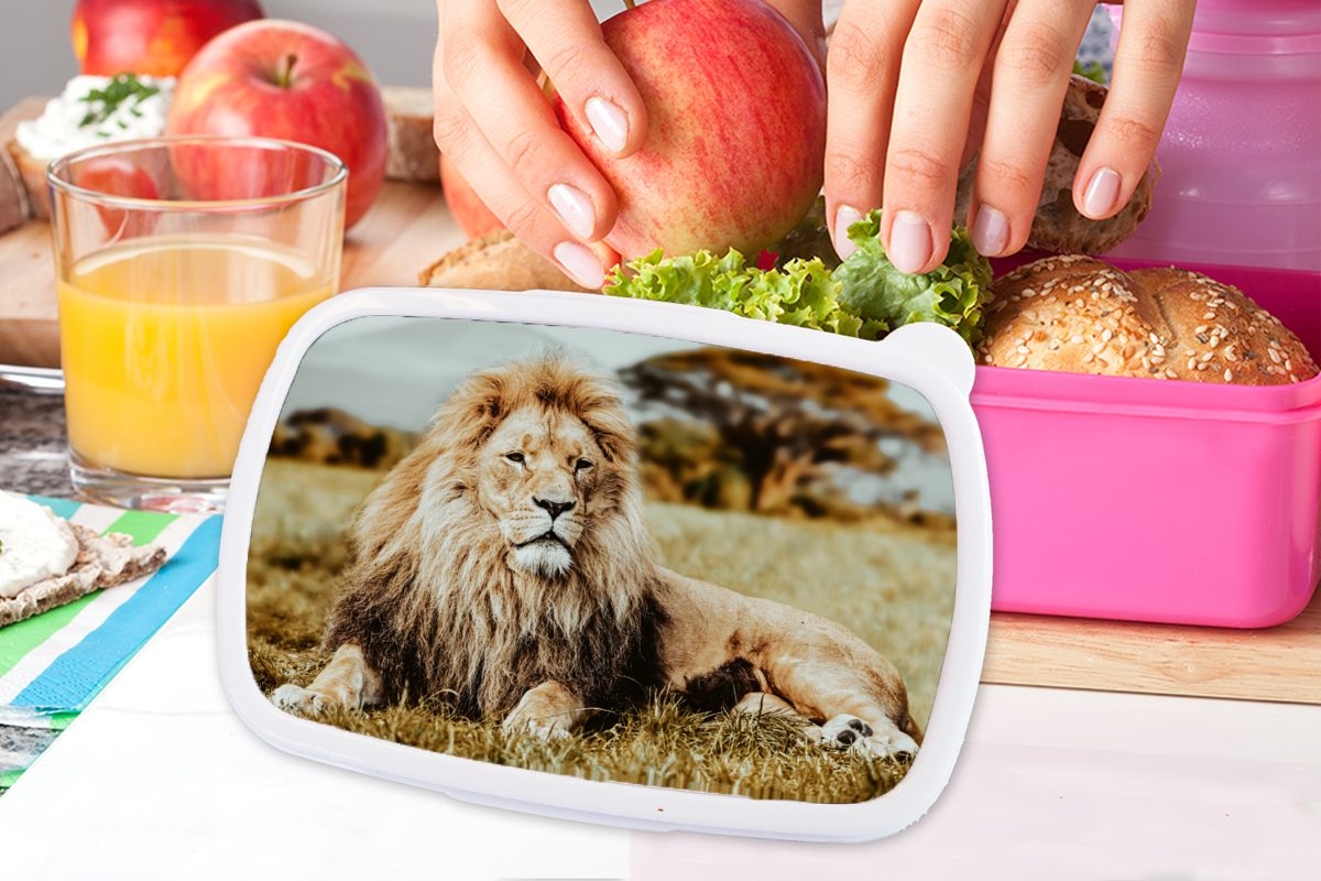 MuchoWow für Wild Brotdose - Lunchbox - Snackbox, Löwen Mädchen, Kinder, (2-tlg), Kunststoff, Brotbox Afrika, Erwachsene, Kunststoff rosa