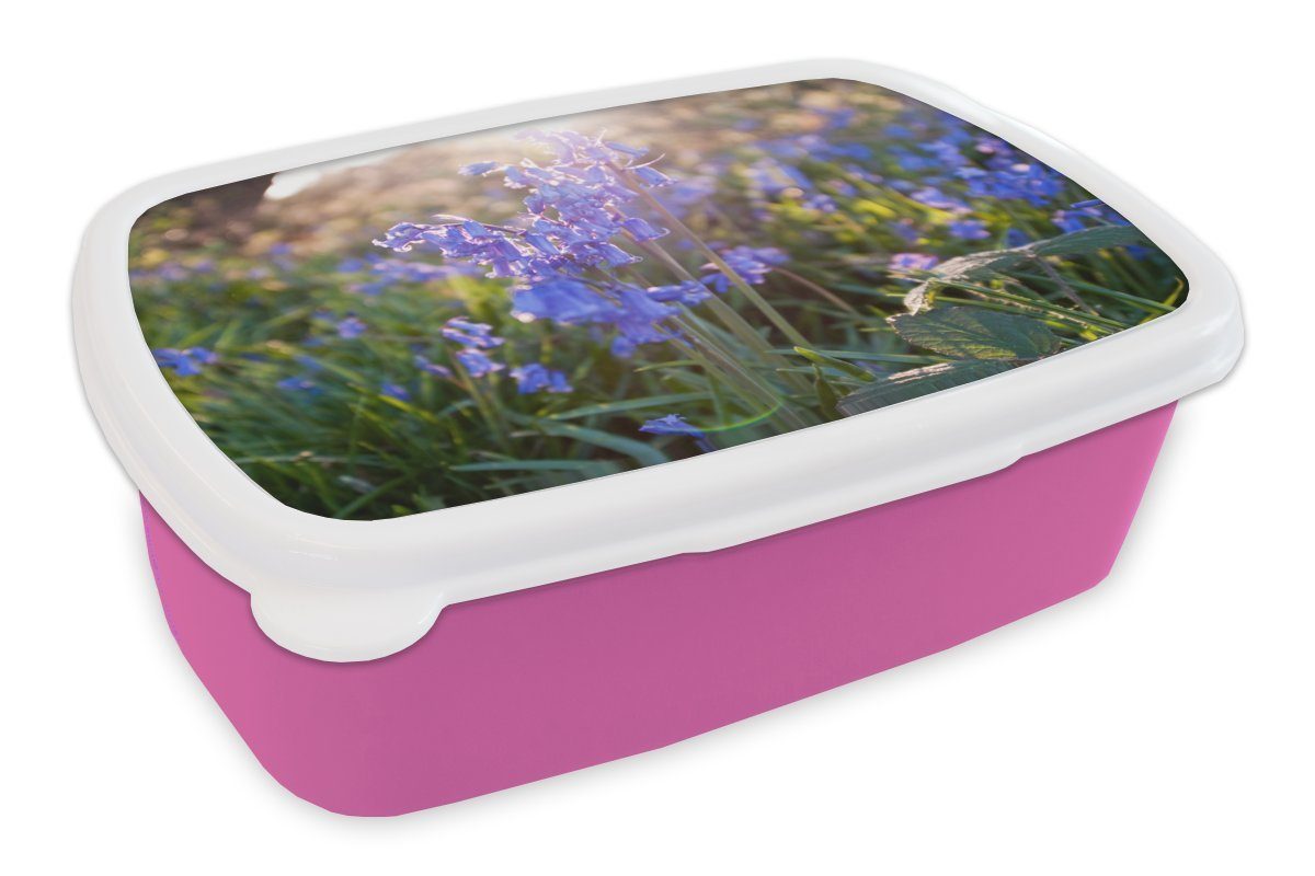 MuchoWow Lunchbox Lila Blüten der Sternhyazinthe bei Sonnenaufgang, Kunststoff, (2-tlg), Brotbox für Erwachsene, Brotdose Kinder, Snackbox, Mädchen, Kunststoff rosa