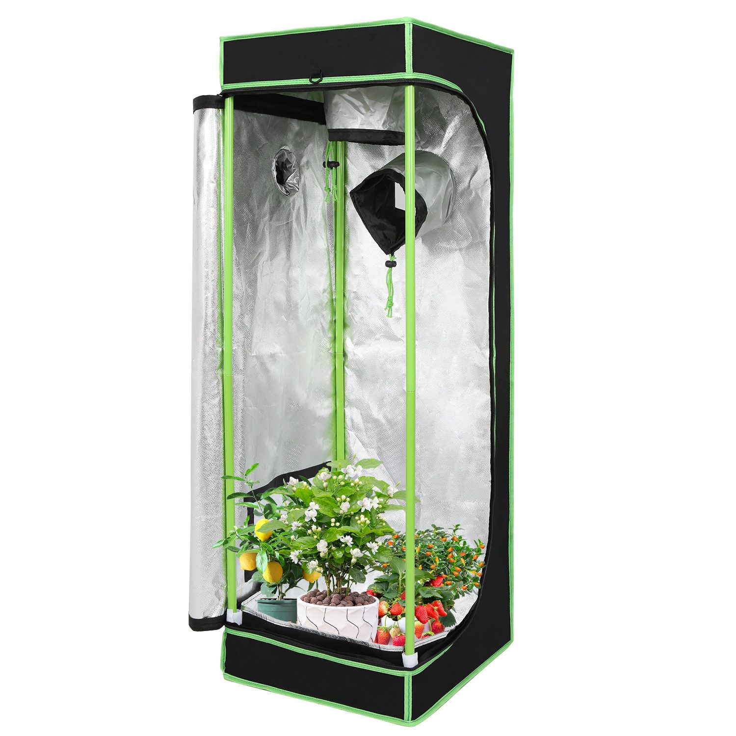 Clanmacy Gewächshaus Growbox Pflanzenzelt Indoor & günstig online kaufen