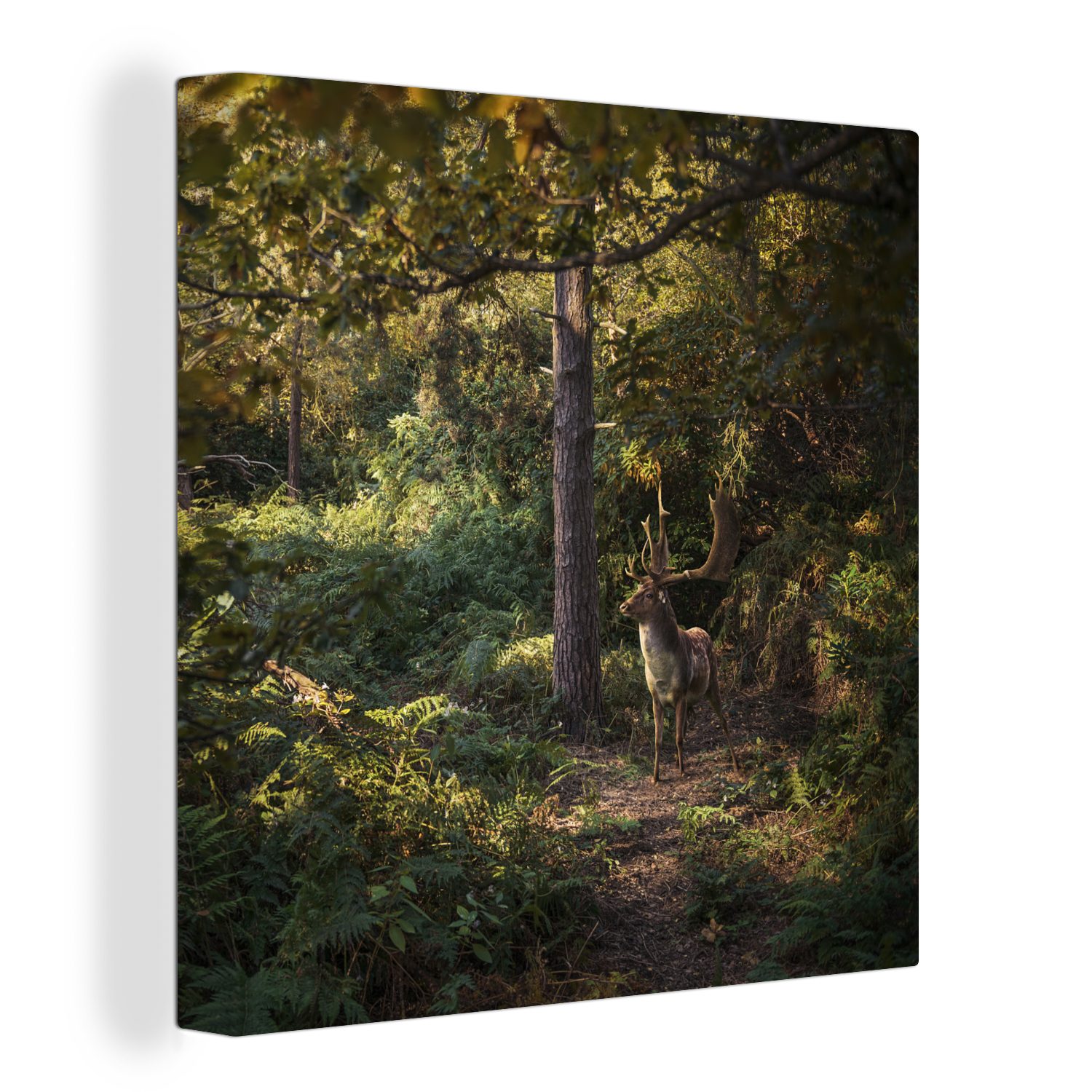 OneMillionCanvasses® Leinwandbild Hirsch - Geweih - Wald - Herbst, (1 St), Leinwand Bilder für Wohnzimmer Schlafzimmer