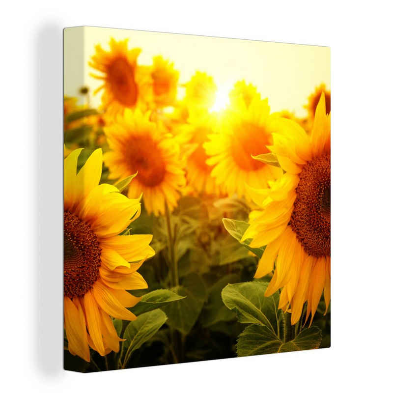 OneMillionCanvasses® Leinwandbild Sonnenblume - Gelb - Blumen - Sonne, (1 St), Leinwand Bilder für Wohnzimmer Schlafzimmer