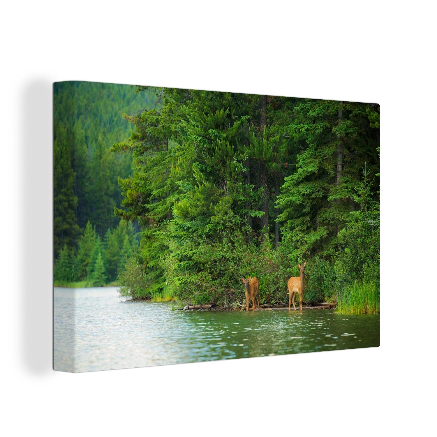 OneMillionCanvasses® Leinwandbild Elche im Banff-Nationalpark in Nordamerika, (1 St), Wandbild Leinwandbilder, Aufhängefertig, Wanddeko, 30x20 cm
