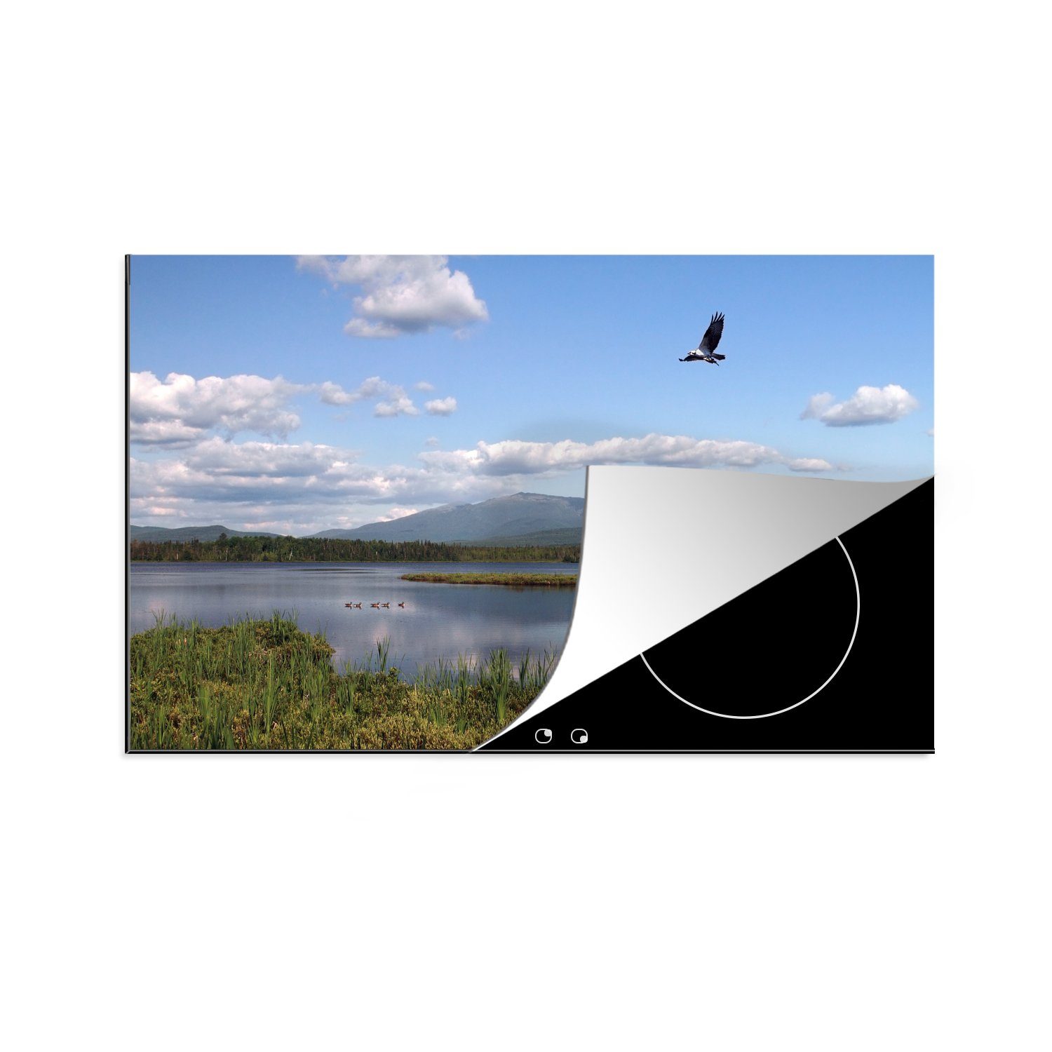 MuchoWow Herdblende-/Abdeckplatte Vogel mit Beute über einem See in New Hampshire, Vinyl, (1 tlg), 81x52 cm, Induktionskochfeld Schutz für die küche, Ceranfeldabdeckung