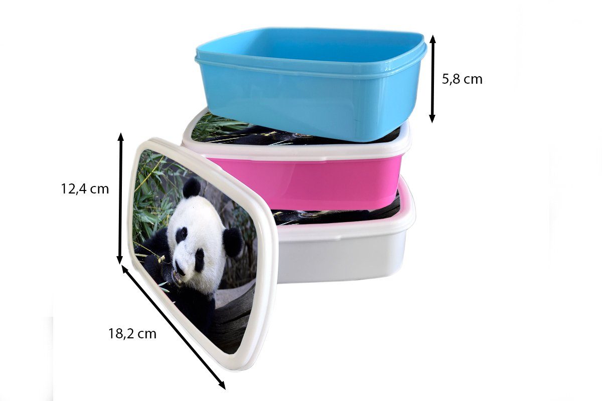 Panda Brotdose, MuchoWow und Jungs - weiß - für Kinder Brotbox Mädchen Lunchbox Tier Kunststoff, für Blätter, Erwachsene, (2-tlg), und