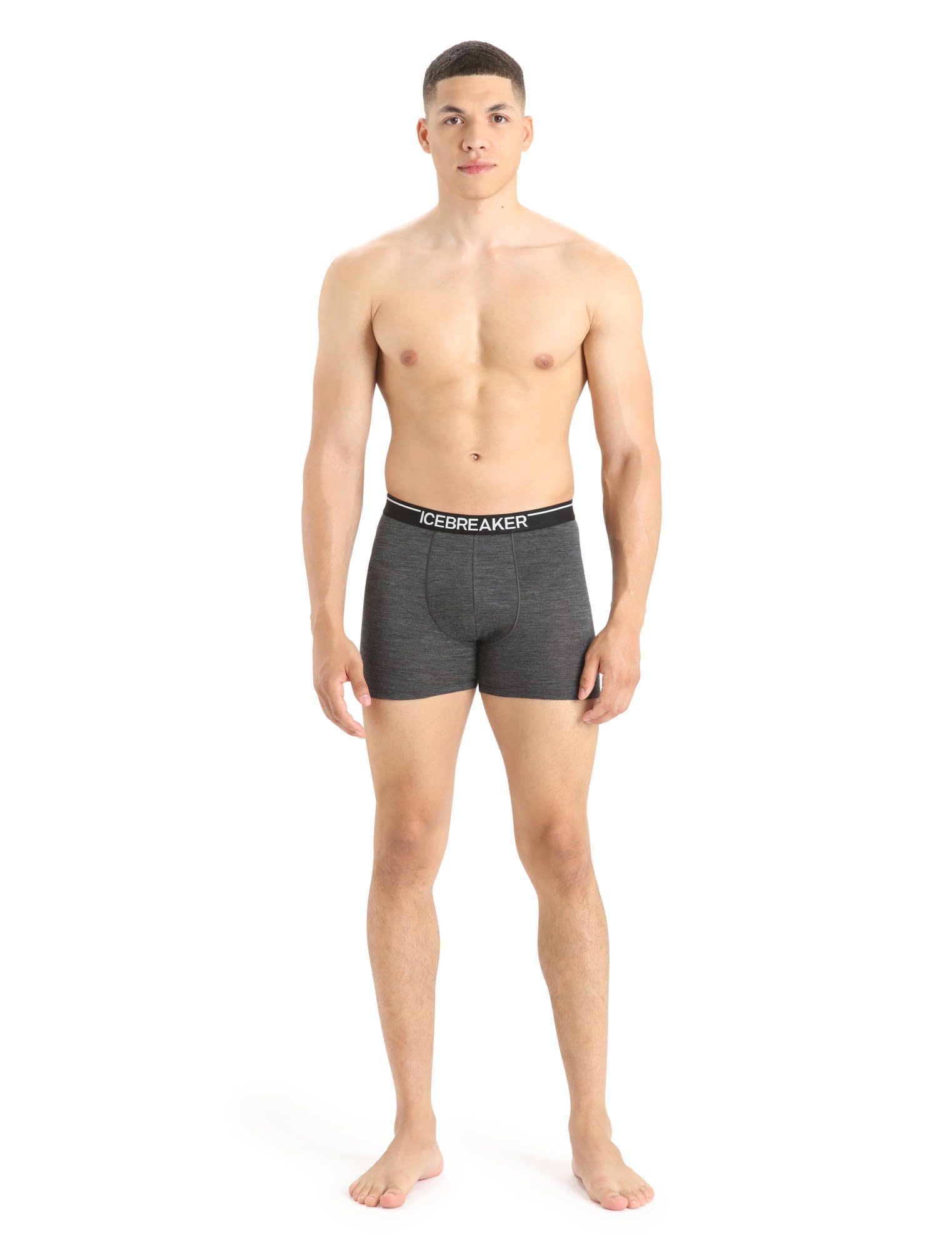 Icebreaker Lange Unterhose Icebreaker M Anatomica Boxers Grey Kurze Herren HTHR