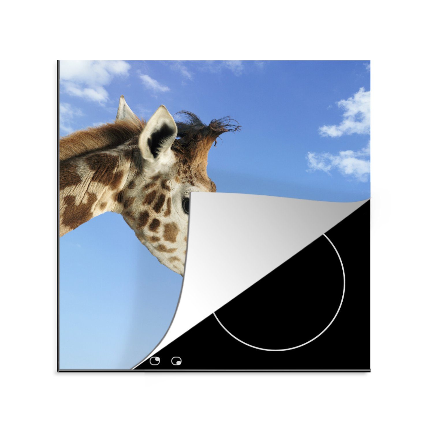 MuchoWow ihren einer cm, 78x78 Ceranfeldabdeckung, tlg), Arbeitsplatte die Jungen die Giraffe, küche schaut, Herdblende-/Abdeckplatte Augen Bild Vinyl, für in (1