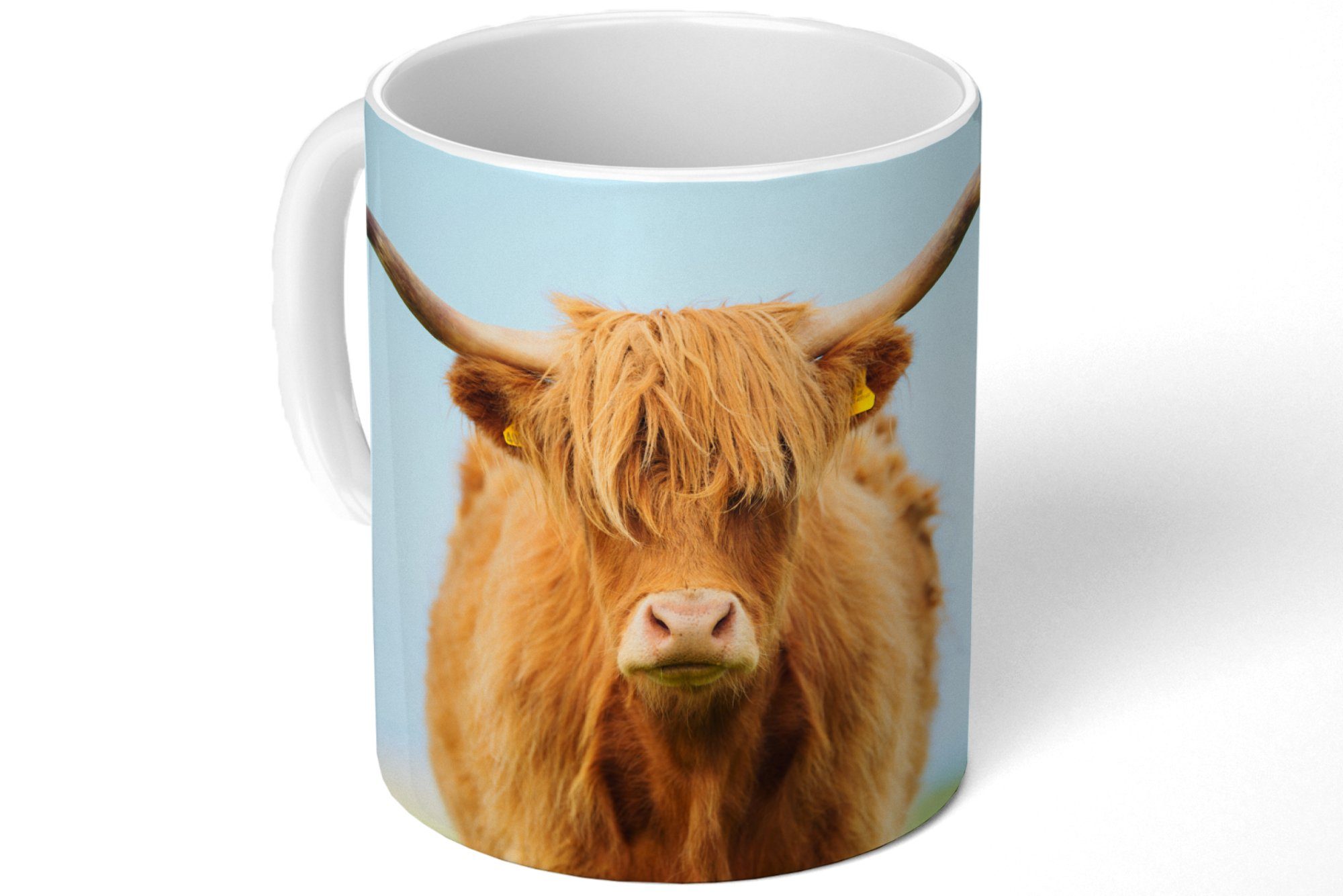 - Keramik, Kaffeetassen, Tasse - Geschenk Becher, Schottischer Gras, MuchoWow Haare Highlander Teetasse, Teetasse,