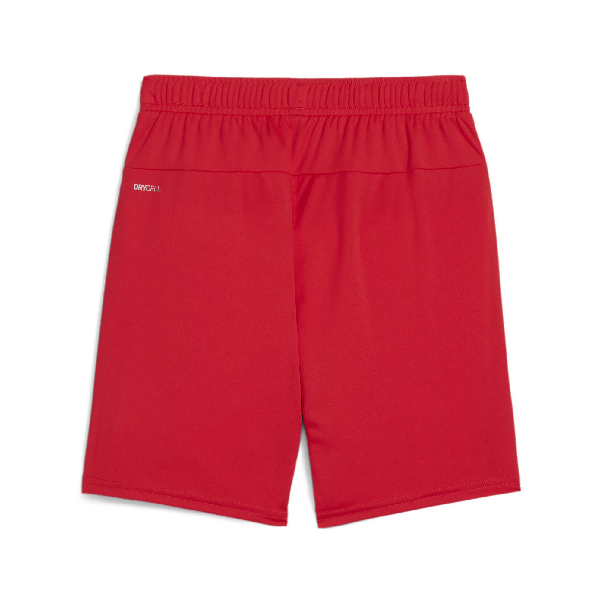 PUMA Trainingsshorts TEAMGOAL SHORTS JR günstig online kaufen