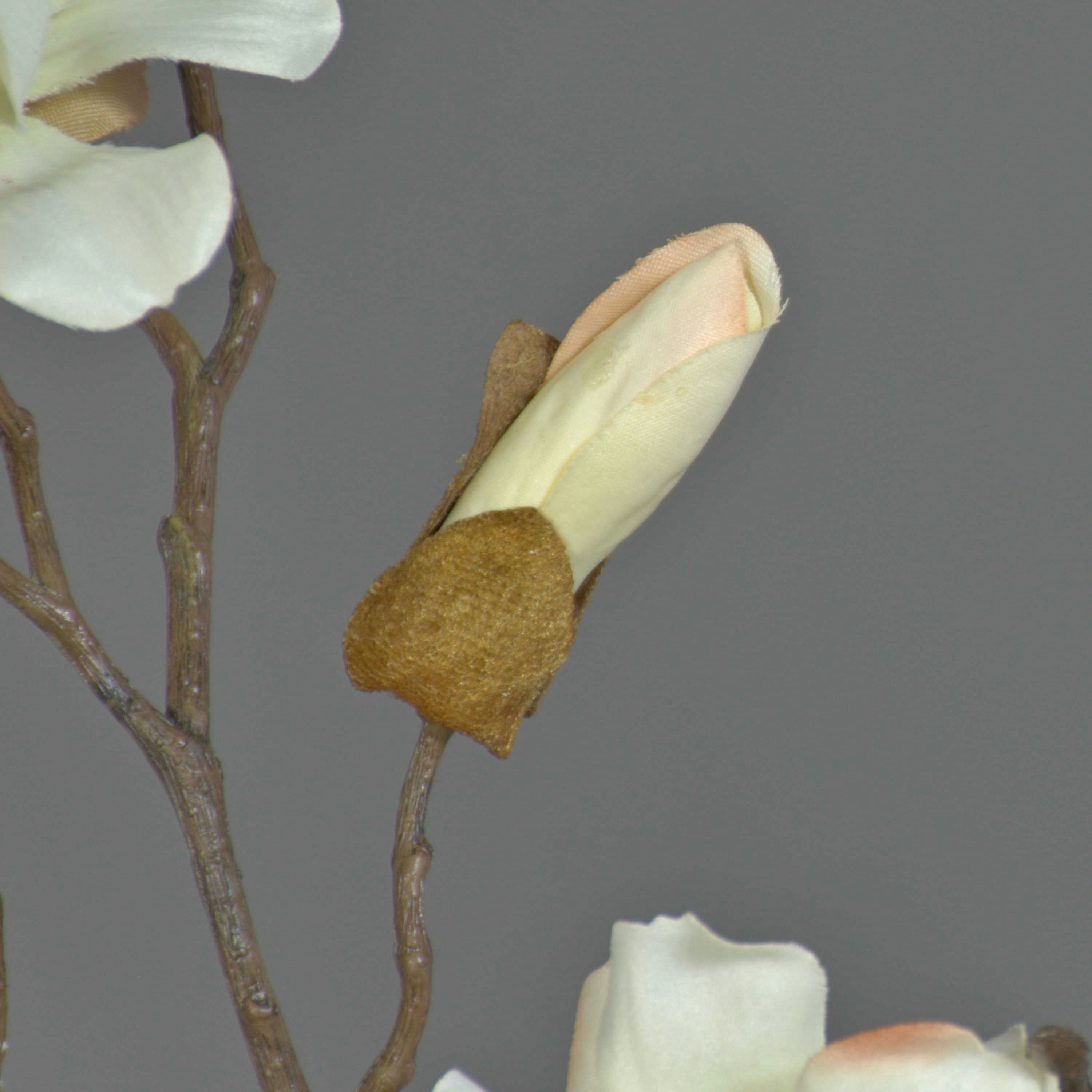 Kunstzweig Deko Magnolienzweig, 4 Blüten und Knospen, weiß, 80cm Magnolie, artplants, Höhe 80.0 cm