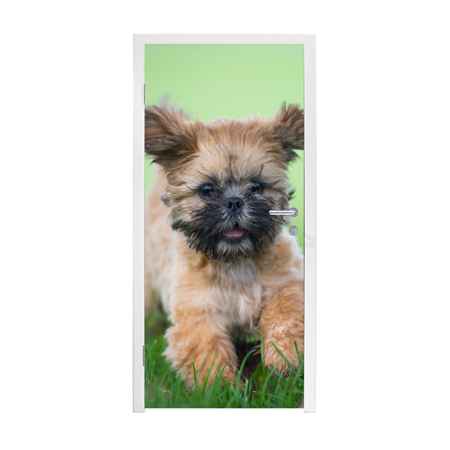MuchoWow Türtapete Ein niedlicher Shih Tzu Hund, der durch das Gras läuft, Matt, bedruckt, (1 St), Fototapete für Tür, Türaufkleber, 75x205 cm | Türtapeten
