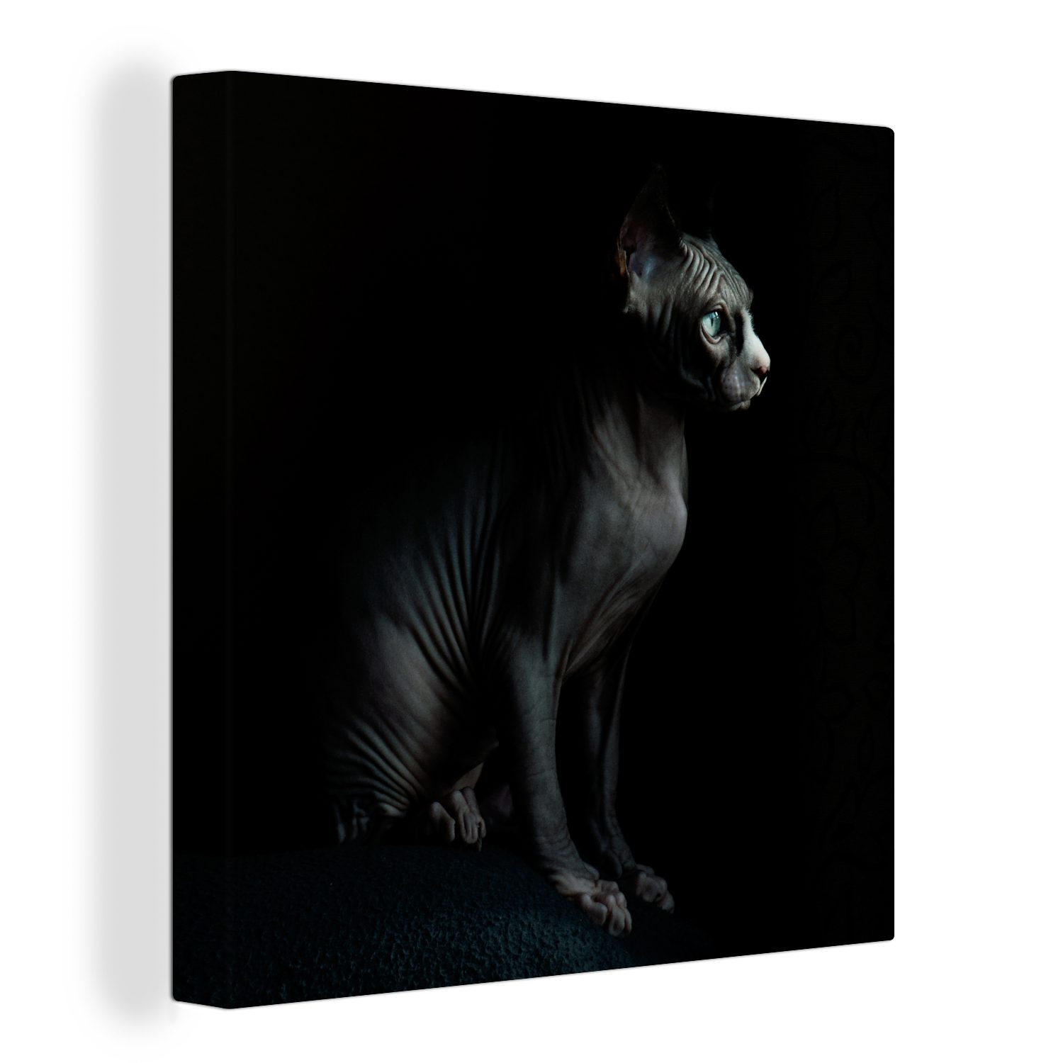 OneMillionCanvasses® für Sphynx, Wohnzimmer Leinwand St), Leinwandbild einer (1 Bilder Schlafzimmer Porträt schwarzen