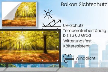 MuchoWow Balkonsichtschutz Baum - Natur - Sonne - Landschaft - Wald (1-St) Balkonbanner, Sichtschutz für den Balkon, Robustes und wetterfest