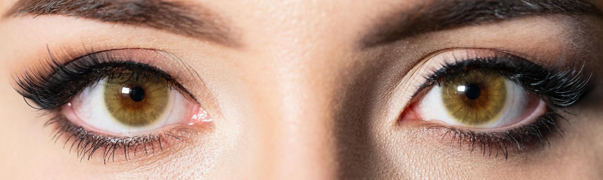 Charmiga Jahreslinsen Farbige Kontaktlinsen Braun, 6-Monatslinsen Bernstein, Queen Amber, Farbige Kontaktlinsen