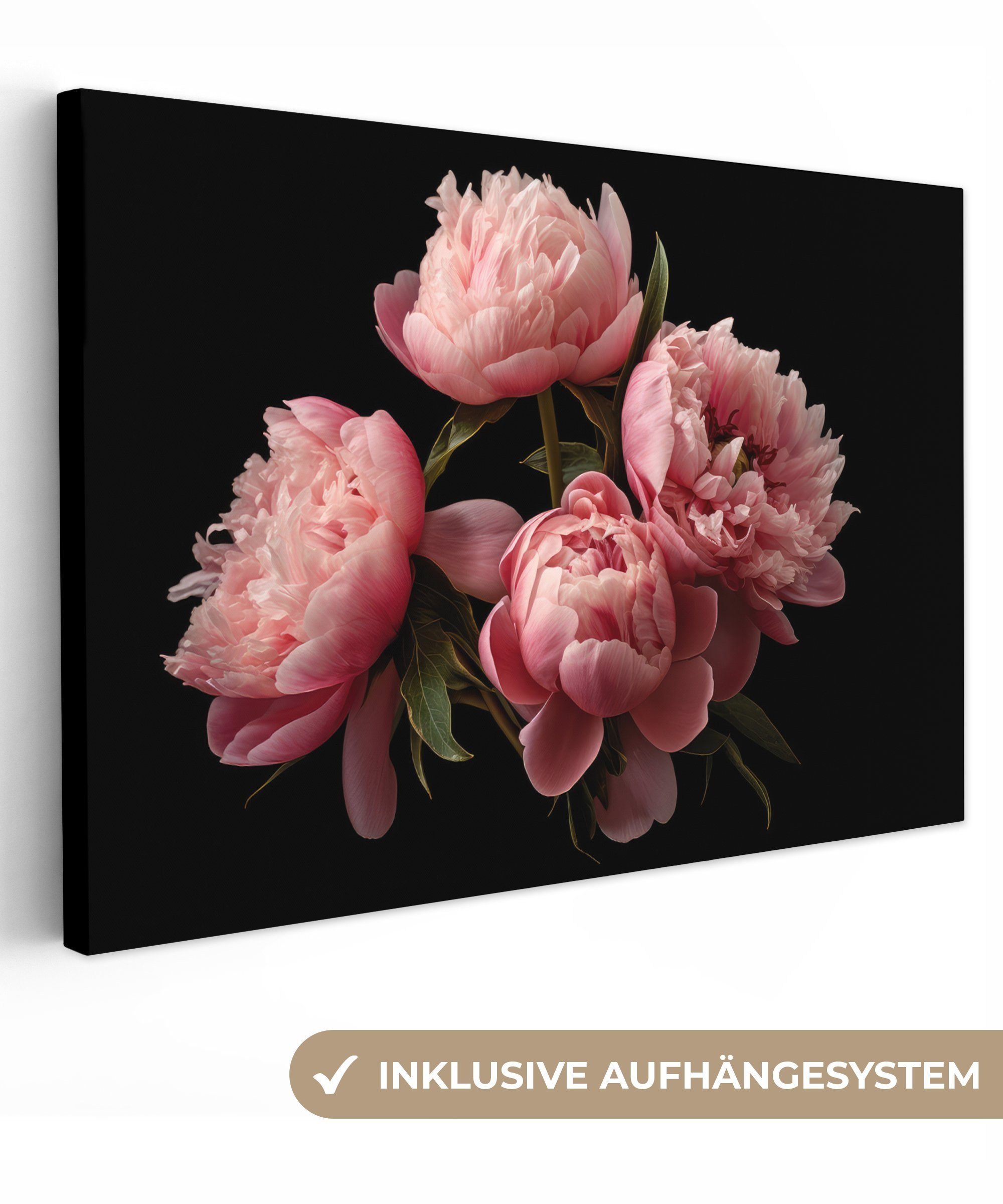 cm 30x20 Natur, Rosa Blumen Aufhängefertig, - - Leinwandbild Wanddeko, St), (1 Botanisch Leinwandbilder, Wandbild OneMillionCanvasses® Pfingstrose - -