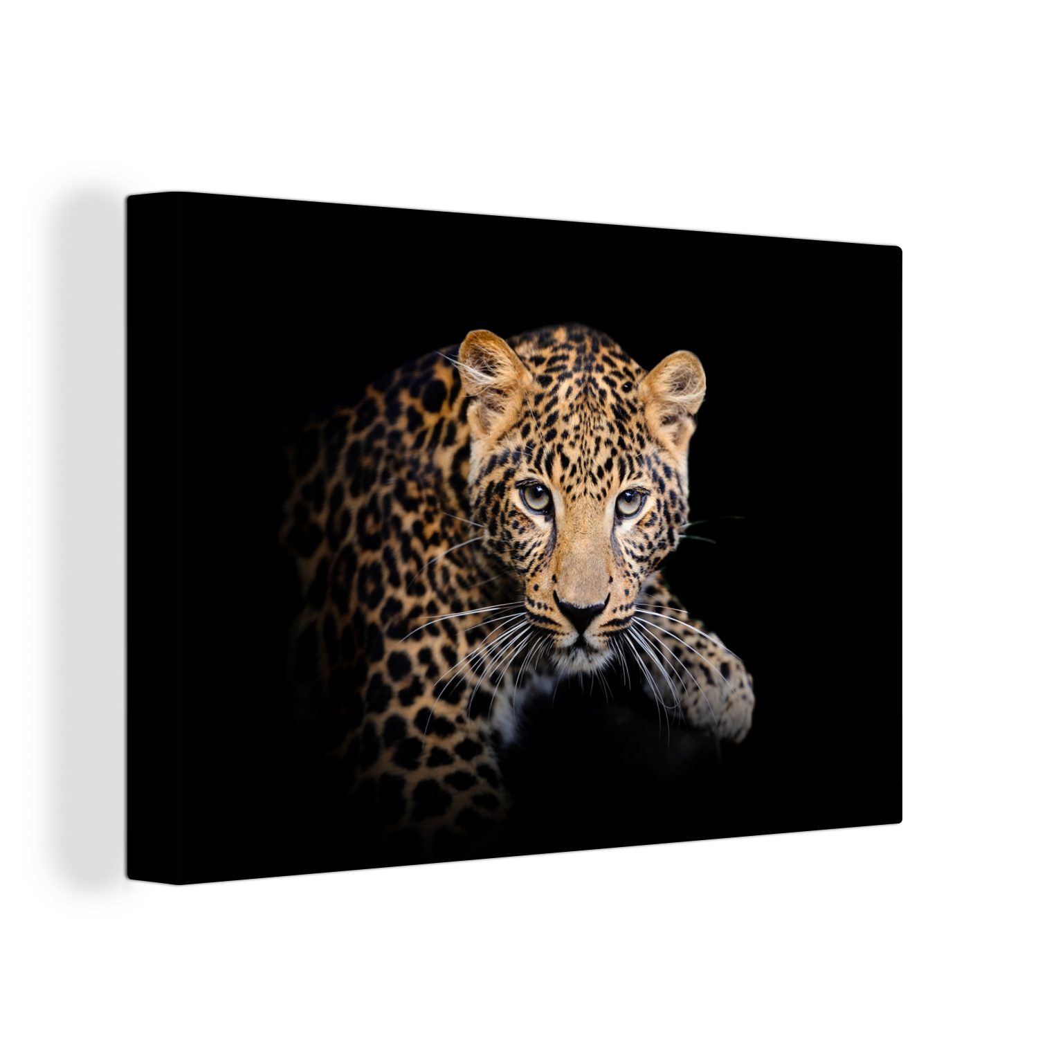 OneMillionCanvasses® Leinwandbild Panther - Schwarz - günstig online kaufen