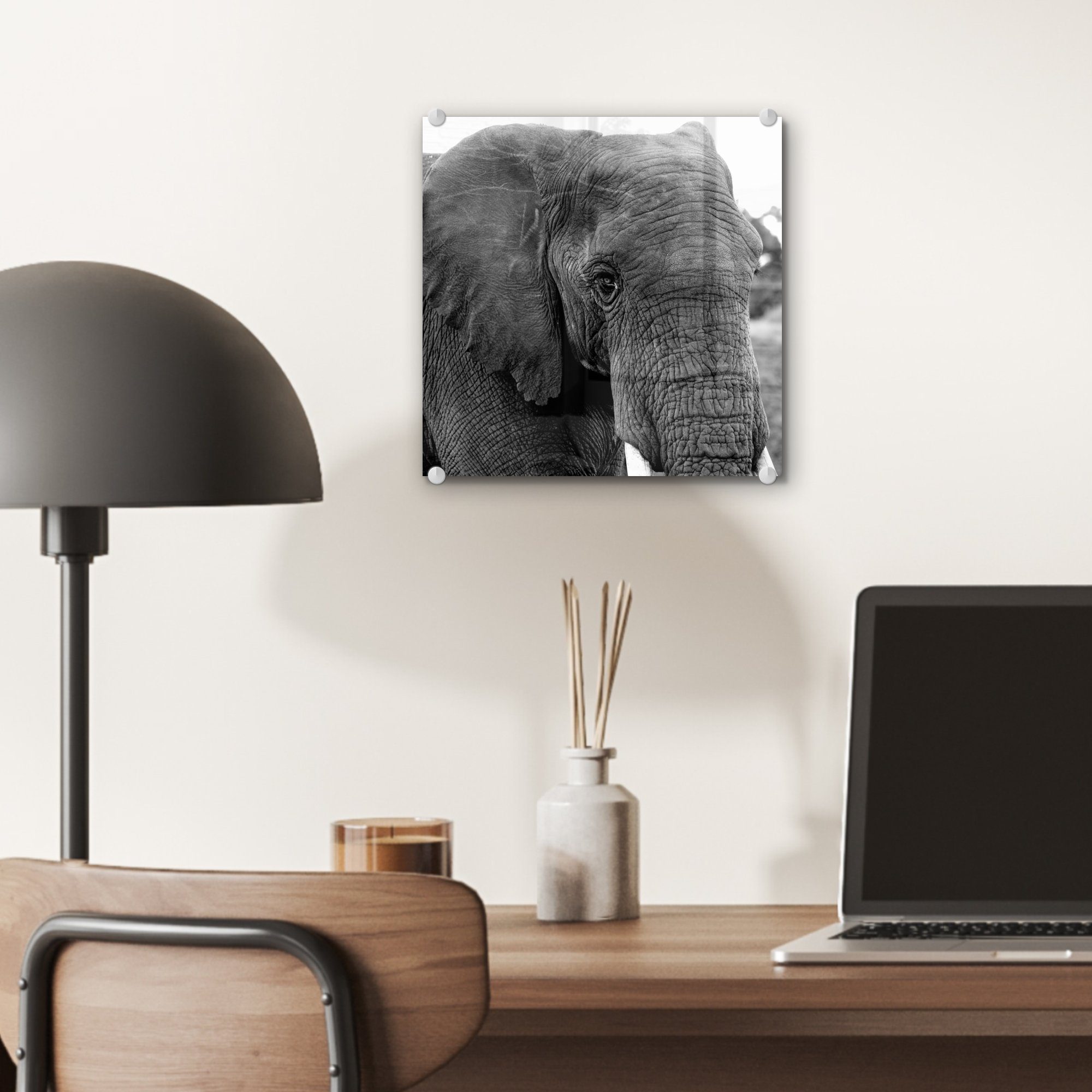 MuchoWow Acrylglasbild Elefant - Tiere Schwarz Weiß auf - Glas Bilder Glas - - Wanddekoration - Natur, - Glasbilder Foto auf St), - (1 Wandbild