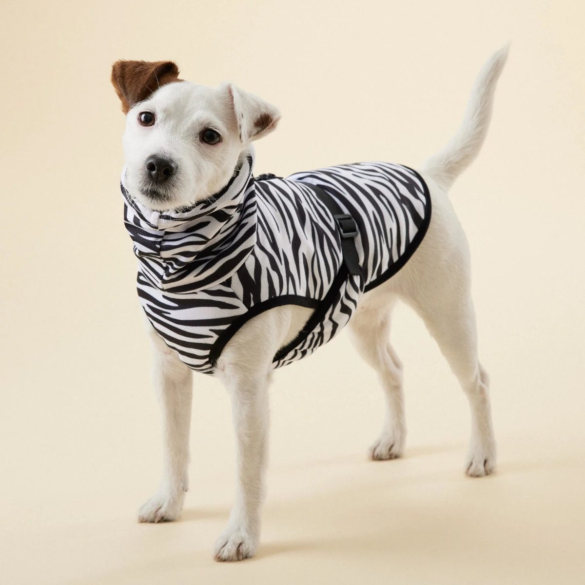 PAIKKA Hundeweste Hunde Kühlweste Antiparasit "Cool & Bug vest"