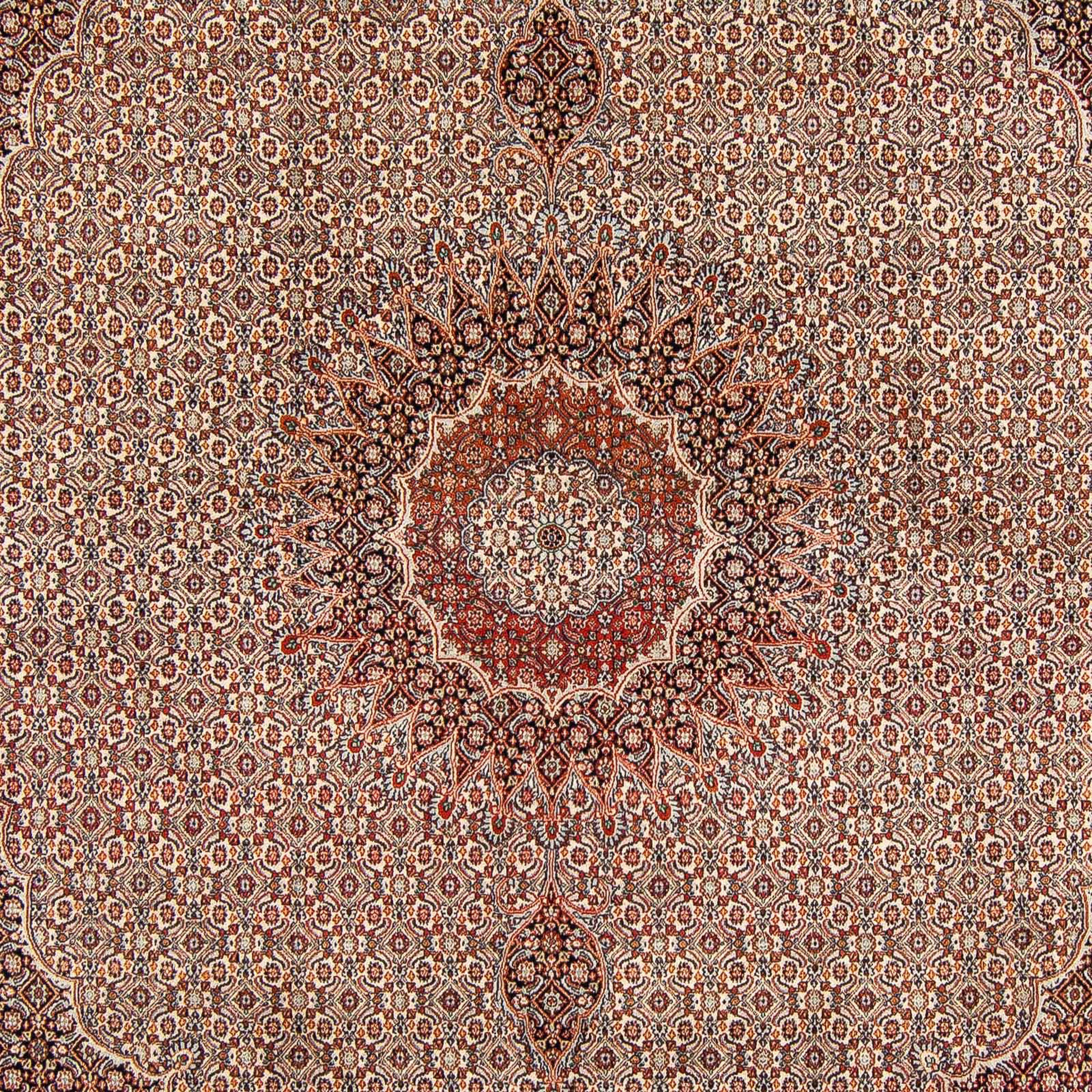 Orientteppich Perser - mit mm, x Classic 248 Handgeknüpft, Zertifikat 290 Höhe: dunkelbraun, Wohnzimmer, 10 - cm - rechteckig, Einzelstück morgenland