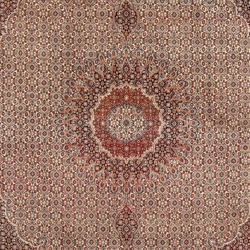 Orientteppich Perser - Classic - 290 x 248 cm - dunkelbraun, morgenland, rechteckig, Höhe: 10 mm, Wohnzimmer, Handgeknüpft, Einzelstück mit Zertifikat