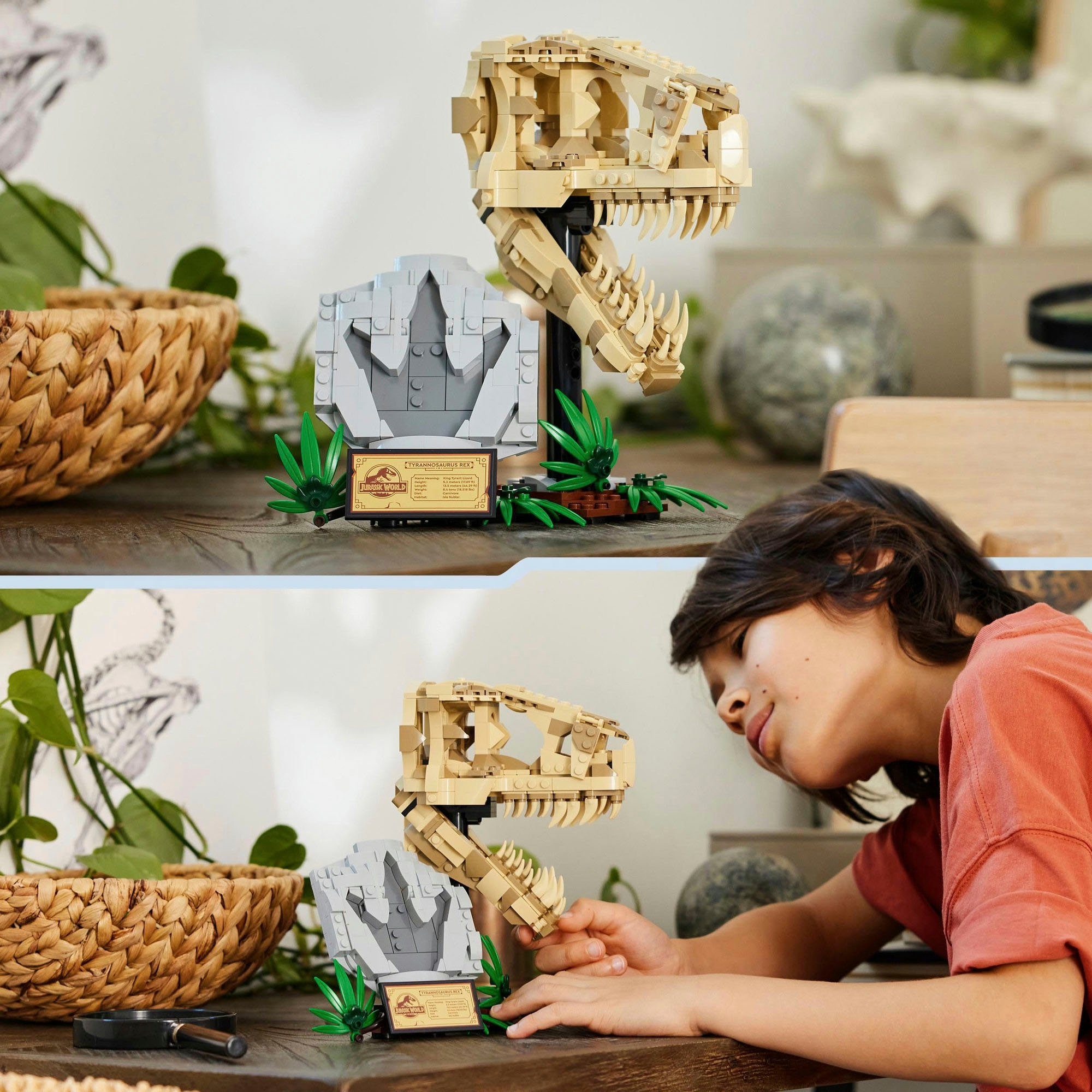 LEGO® Dinosaurier-Fossilien: T.-rex-Kopf (76964), LEGO Jurassic World Konst günstig online kaufen