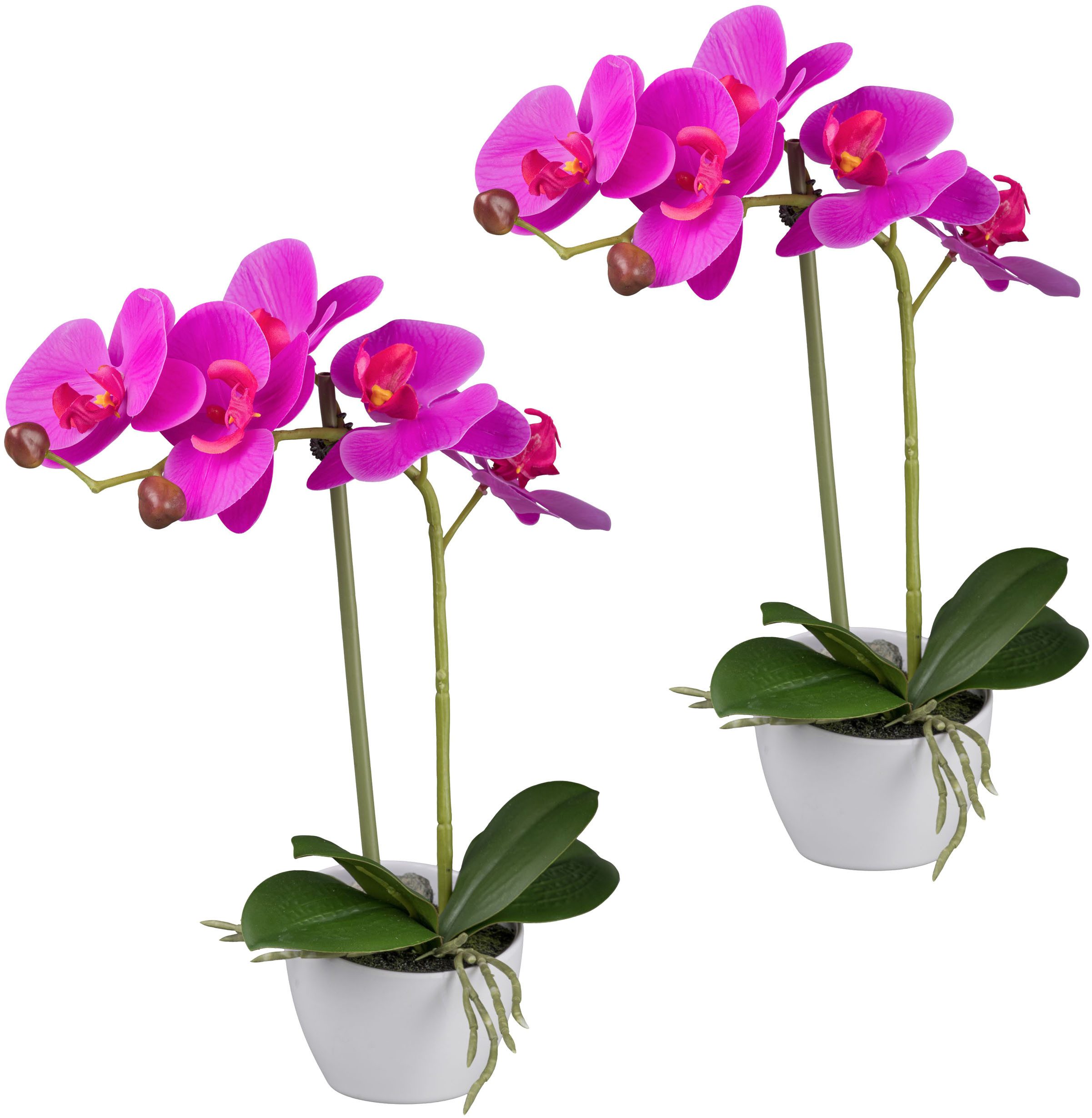 Kunstorchidee Orchidee Phalaenopsis, Creativ green, Höhe günstig online kaufen
