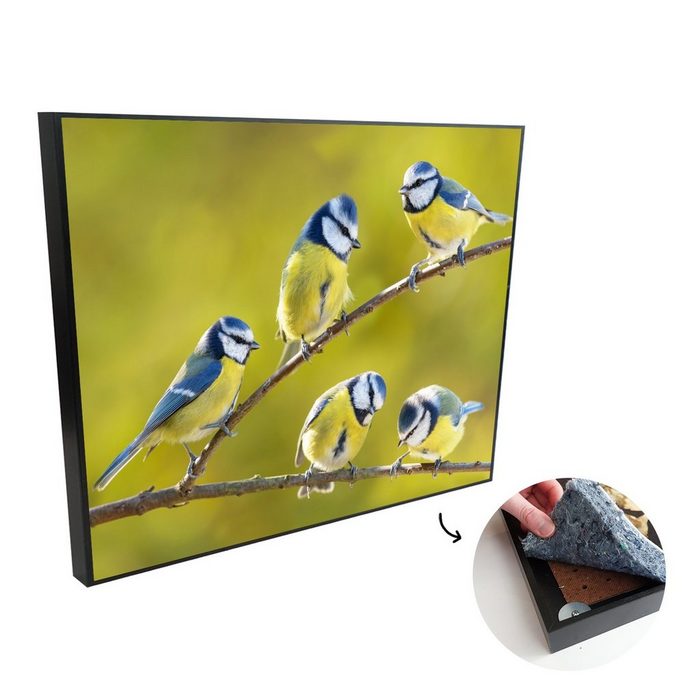 MuchoWow Akustikplatte Vogel - Blaumeise - Äste - Sonne (1-St) Malerei gegen Akustik Akustikplatten Gemälde Bilder Modern Deko