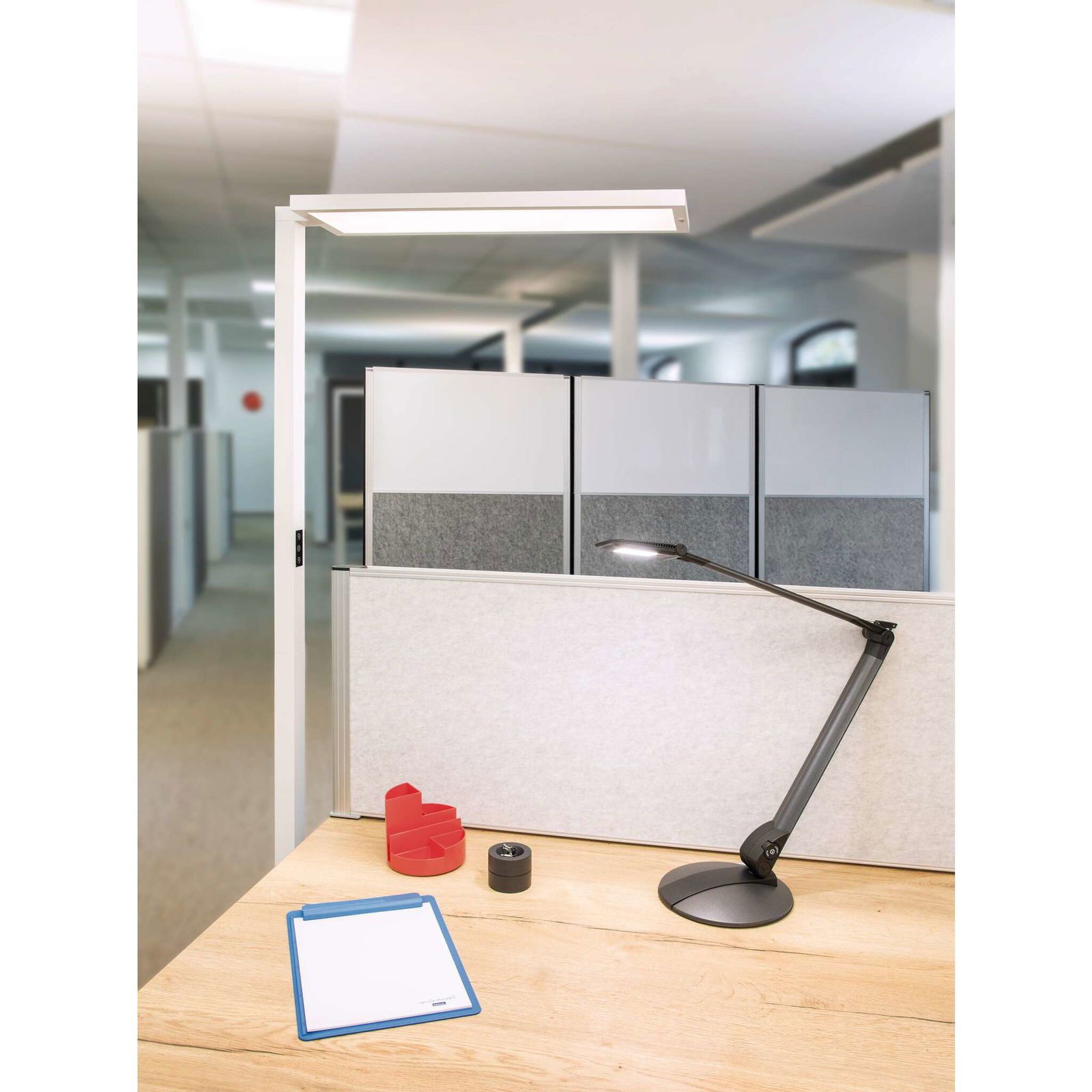 MAUL Stehlampe MAUL Standleuchte MAULsenja LED 2.700 - 5.700 K dimmbar Standfuß 196,1, LED wechselbar