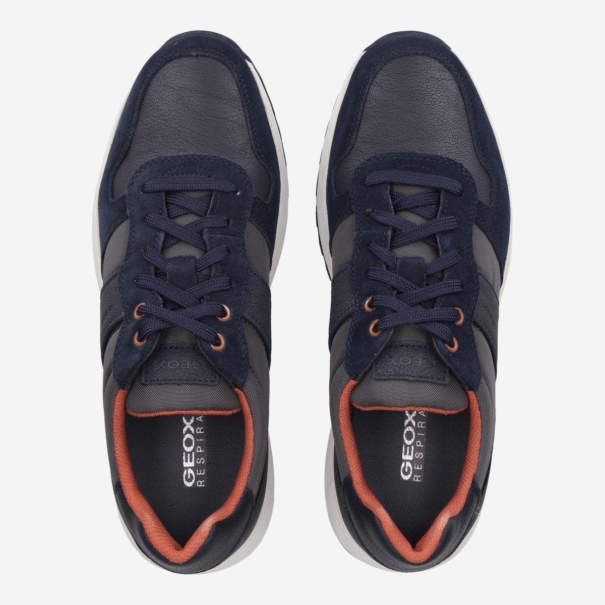 Geox GEOX MOLVENO, Sneaker, Grau, Herren Sneaker